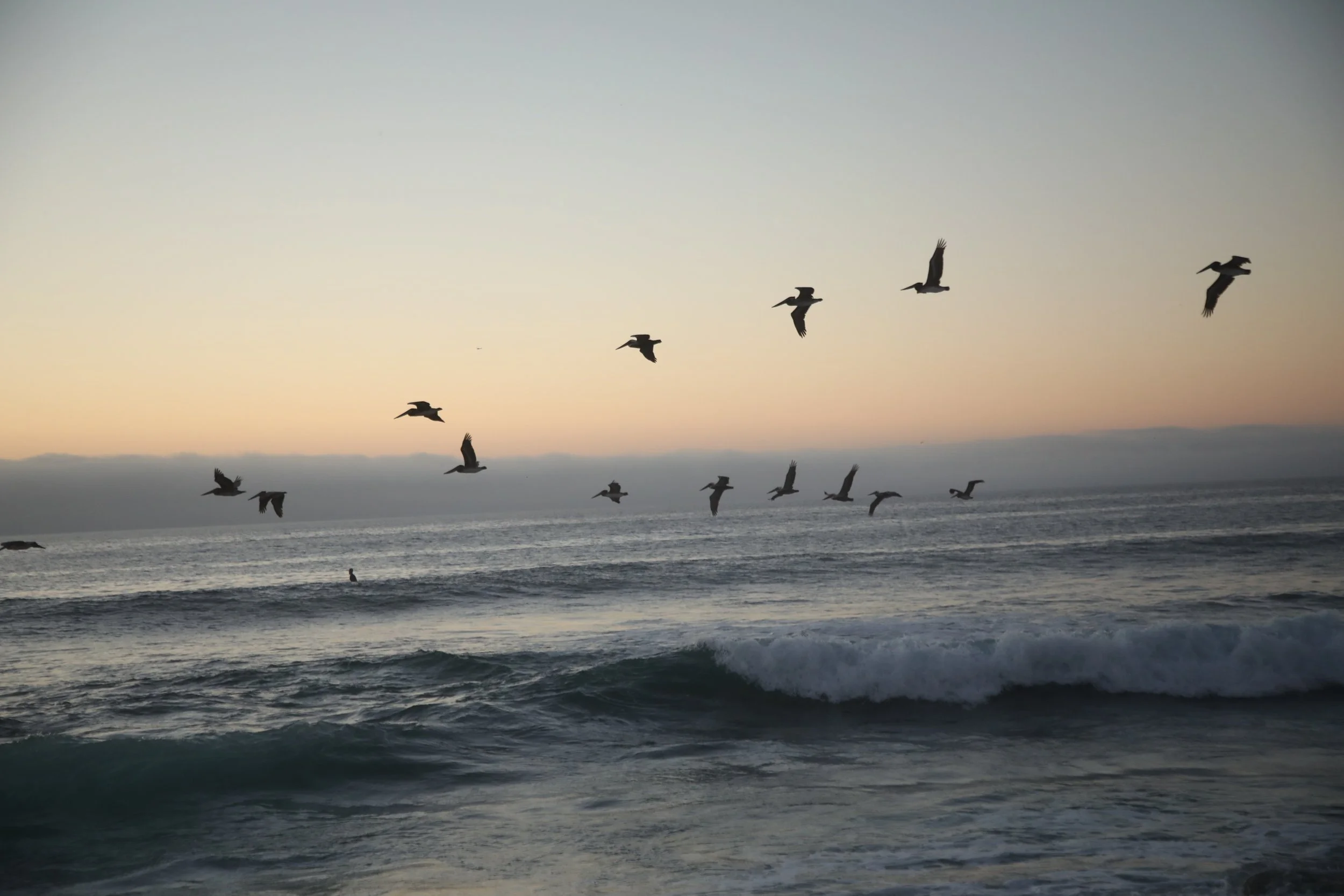 YouInSanDiego-0025.jpg