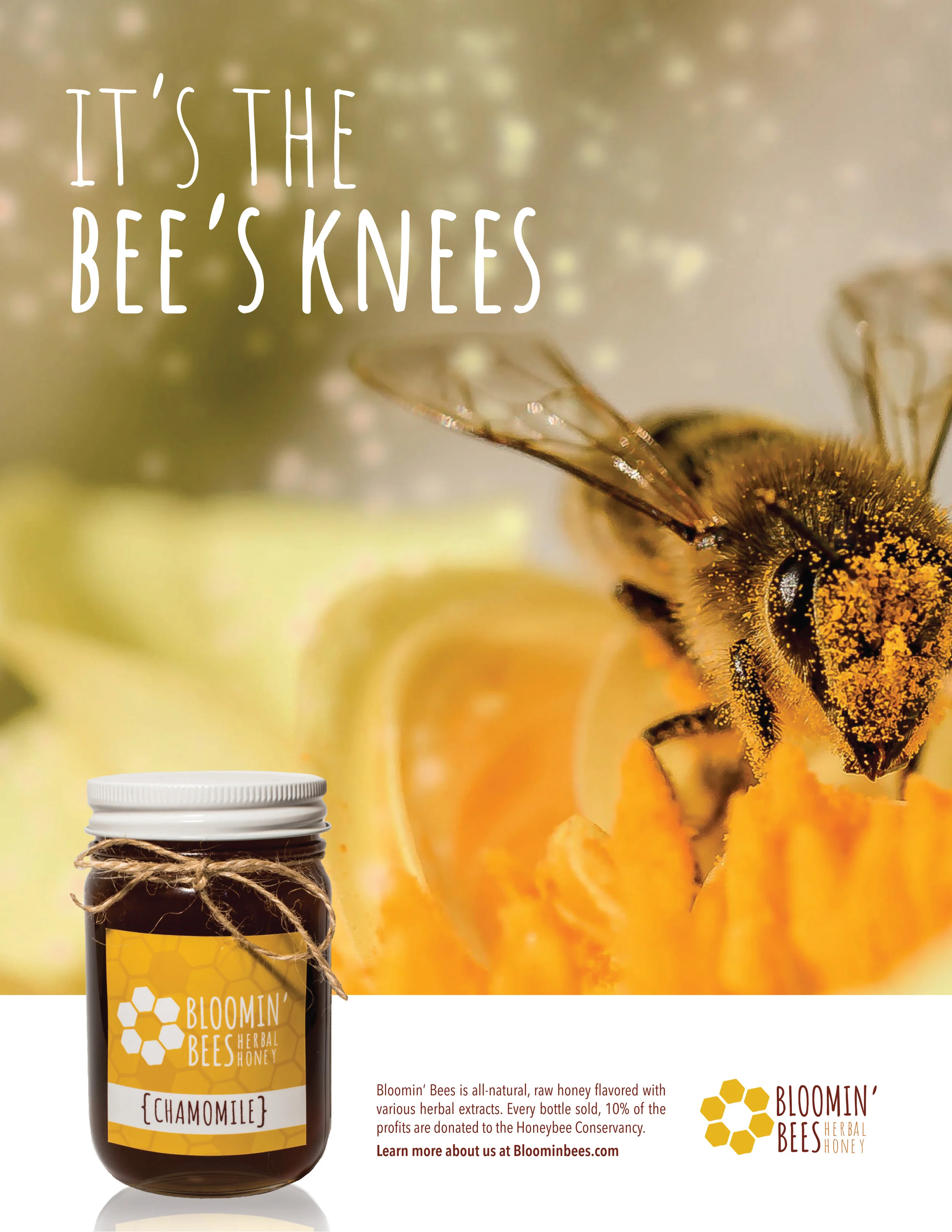 bees kness ad.jpg