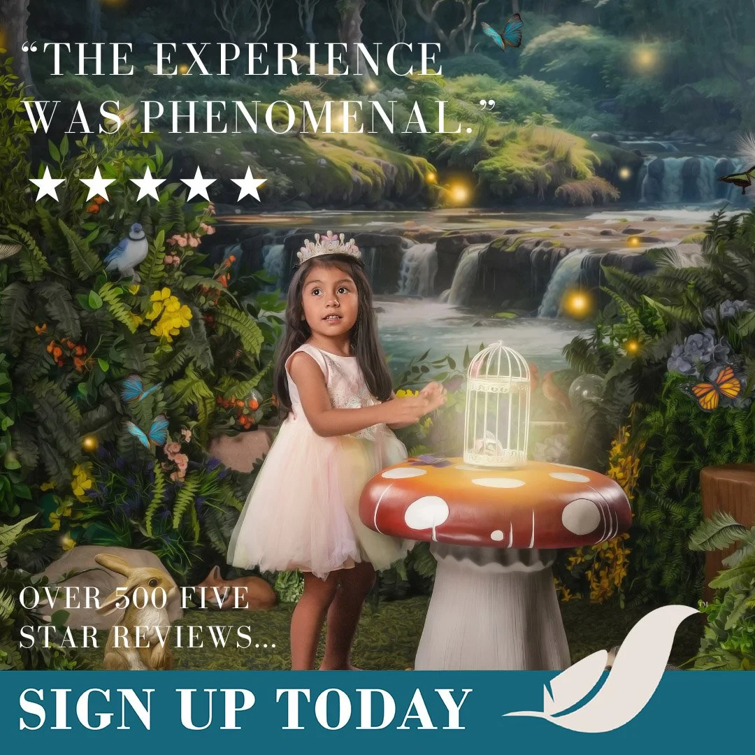 FIVE STARS 2 copy.jpg