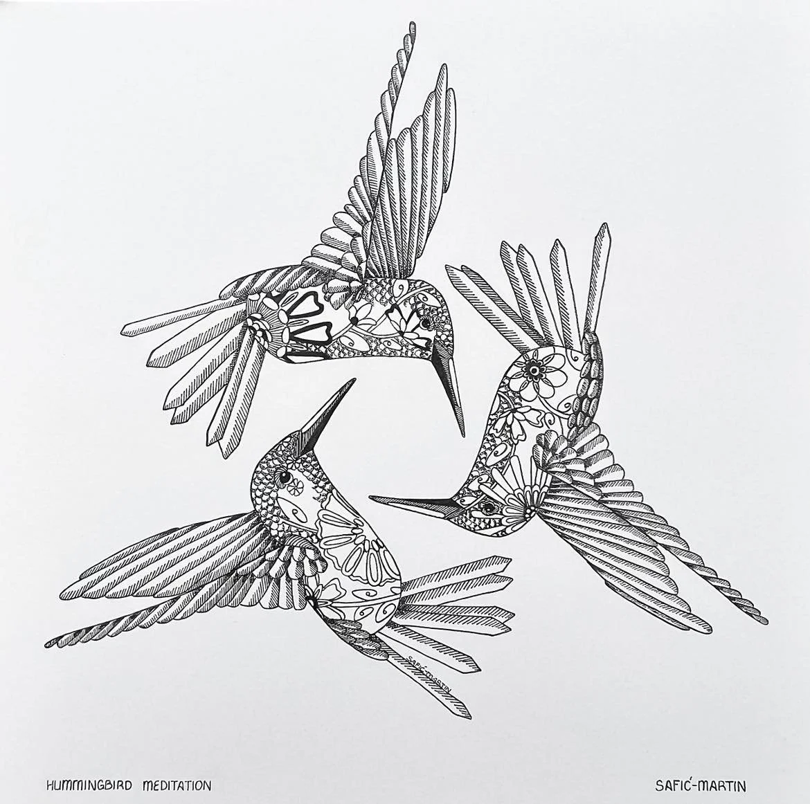 Hummingbirds (experimental)