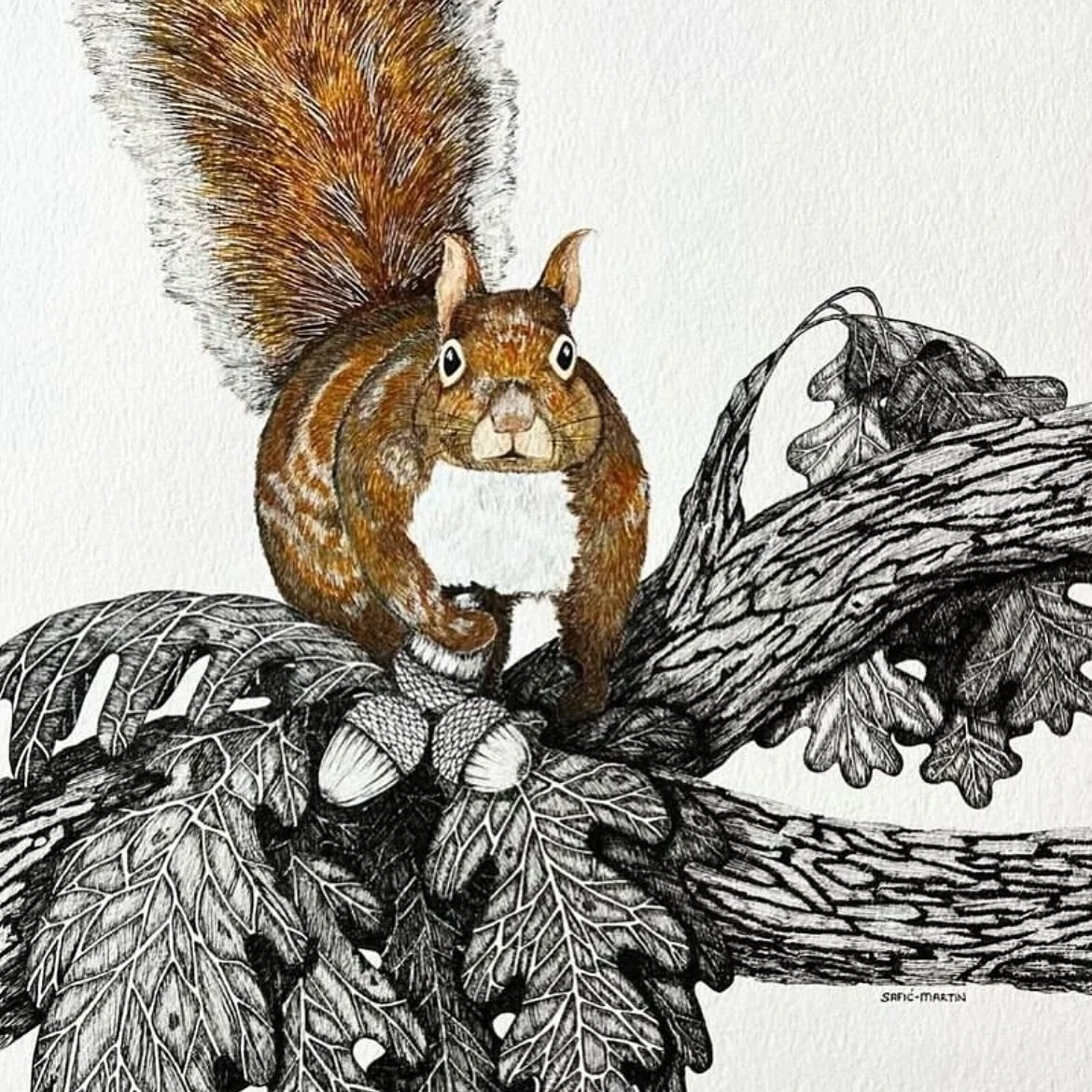 Autumn is right around the corner. That means crisp air, warm spices, and fire nights. My favorite time. 

#tiarasaficmartinart #artoftheday #penart #art #illustration #ıllustrationnow #blackwork #micronpens #strathmore #watercolor #squirrel #primawa