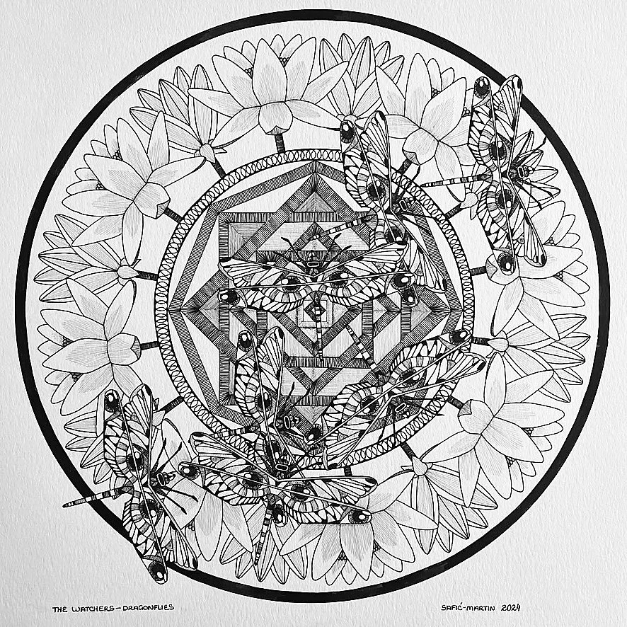 The Watchers - Dragonflies