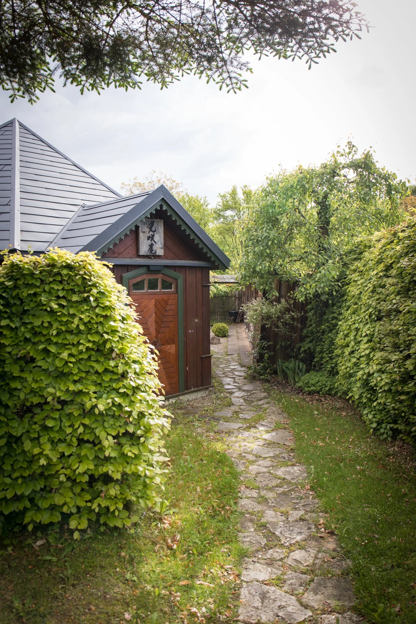 Winnica 2025 ogólne 5 m (8 of 74).jpg