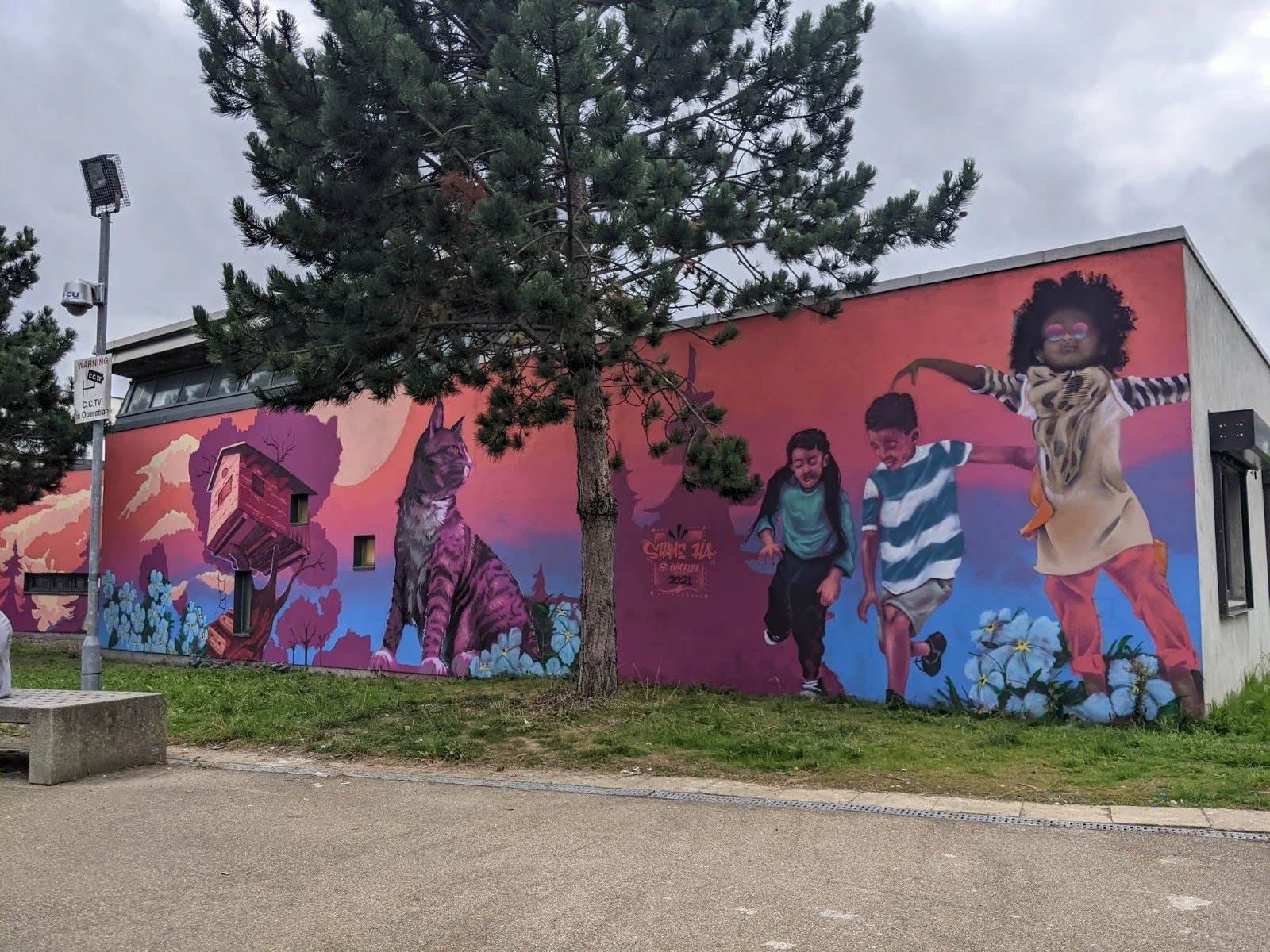 SHANE HA - Treehouse mural wall.jpg