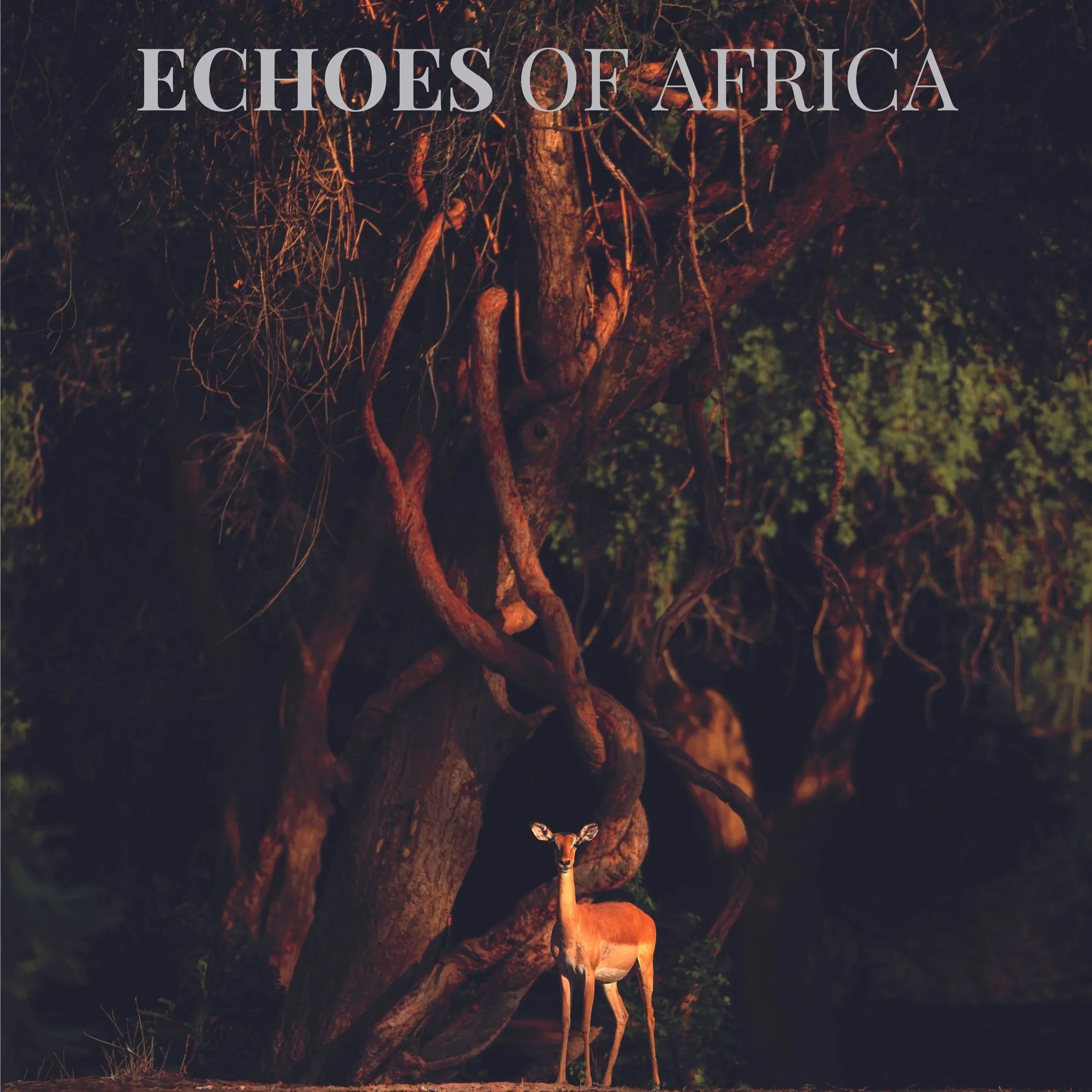 Echoes+of+Africa+Title+Page_1.jpg