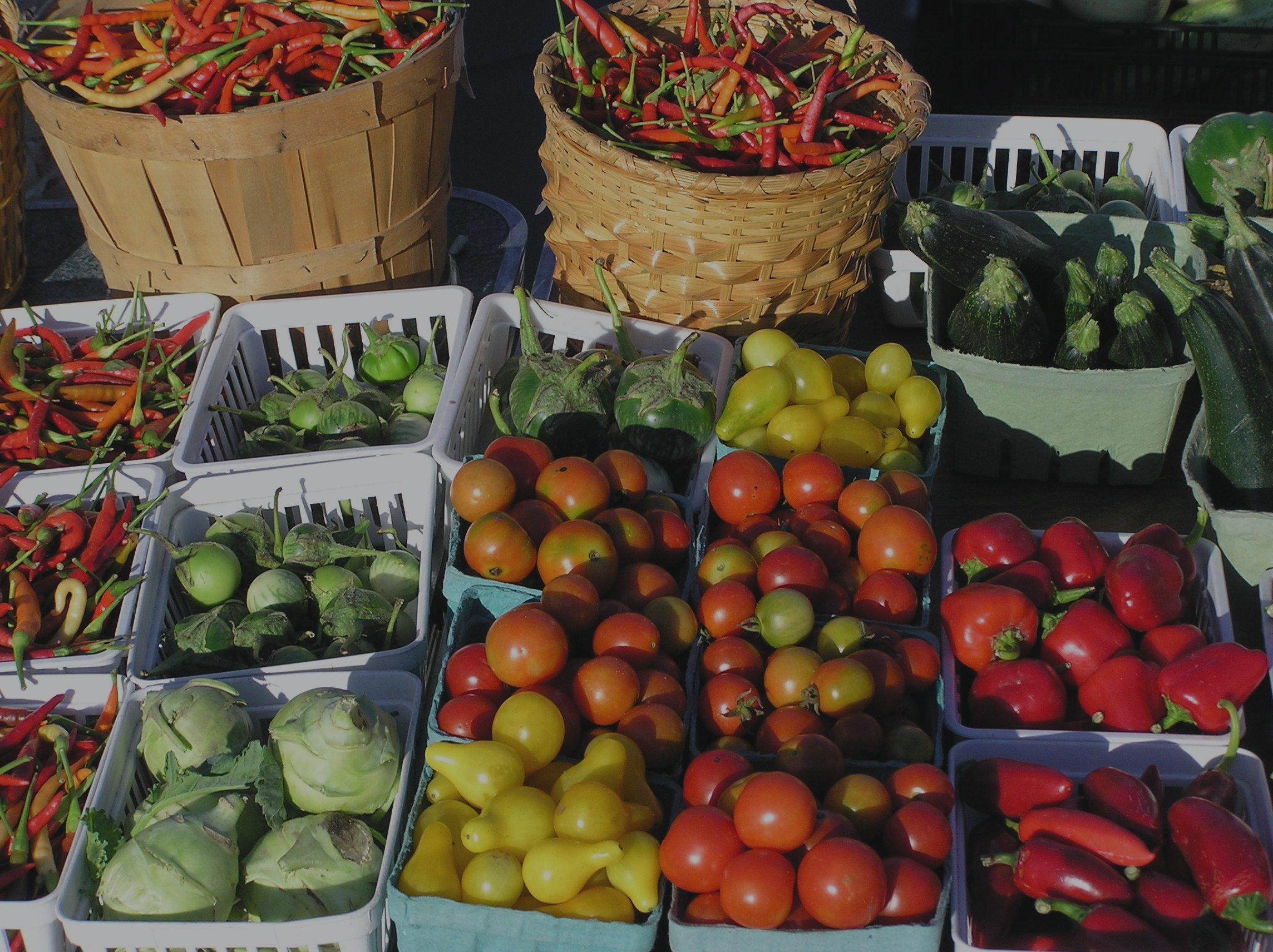 Vegetable colorful_Edit.jpg