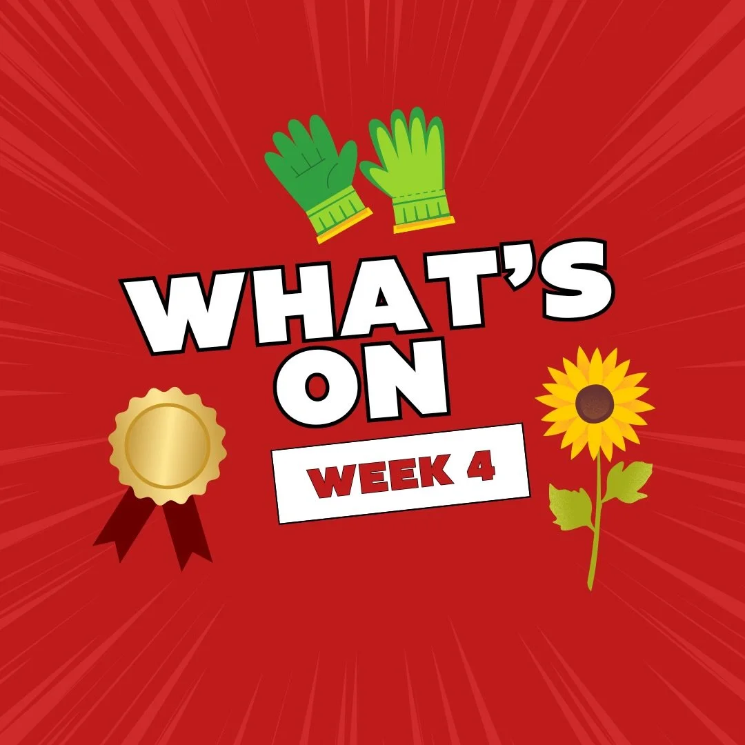 WHATS ON THIS WEEK? 

@stephenson_college @stephenson.president @stephenson.central