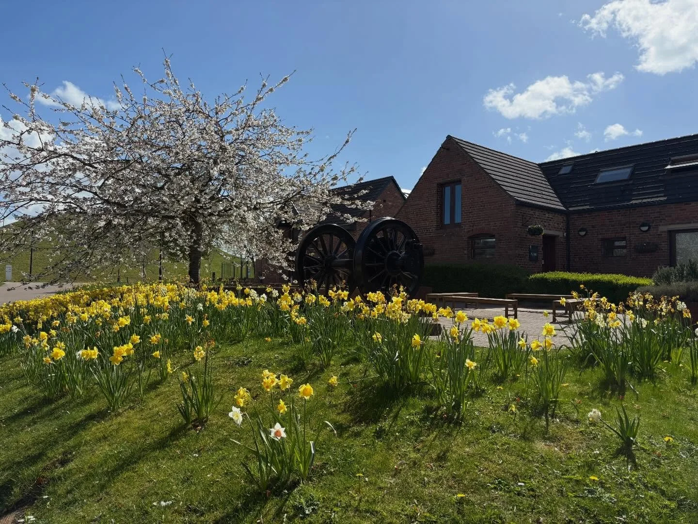 Sunshine over Stephenson! 🌸 ☀️