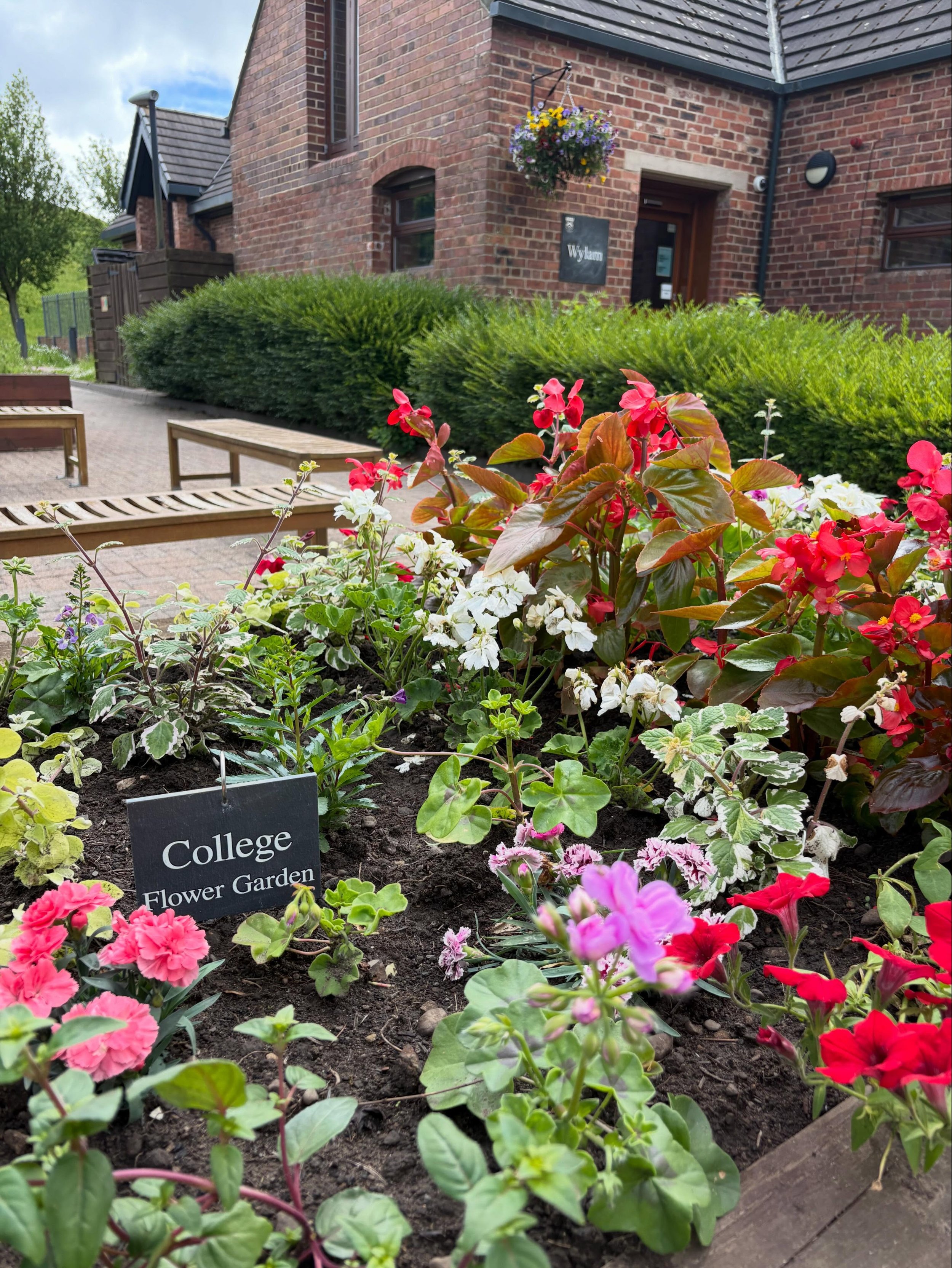 A big thank you to Diane, Phill, Pete and Jack from our Operations Team as well as members of @stephenson.growsoc for transforming our outdoor spaces this week! College is looking and feeling summer ready! 🌺 🌿 

Fresh mint for a @stephenson.central