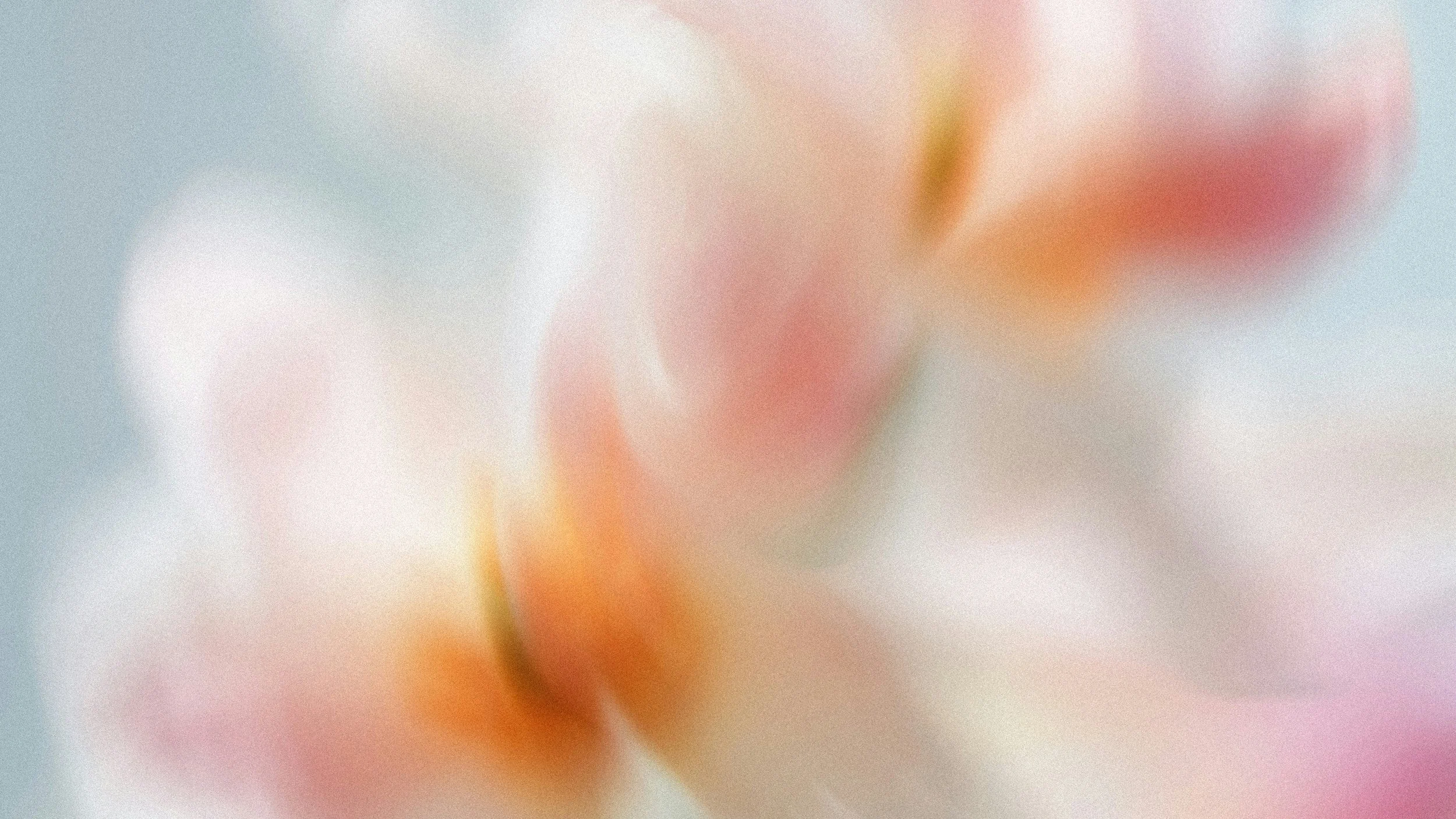 Screen Background.jpg