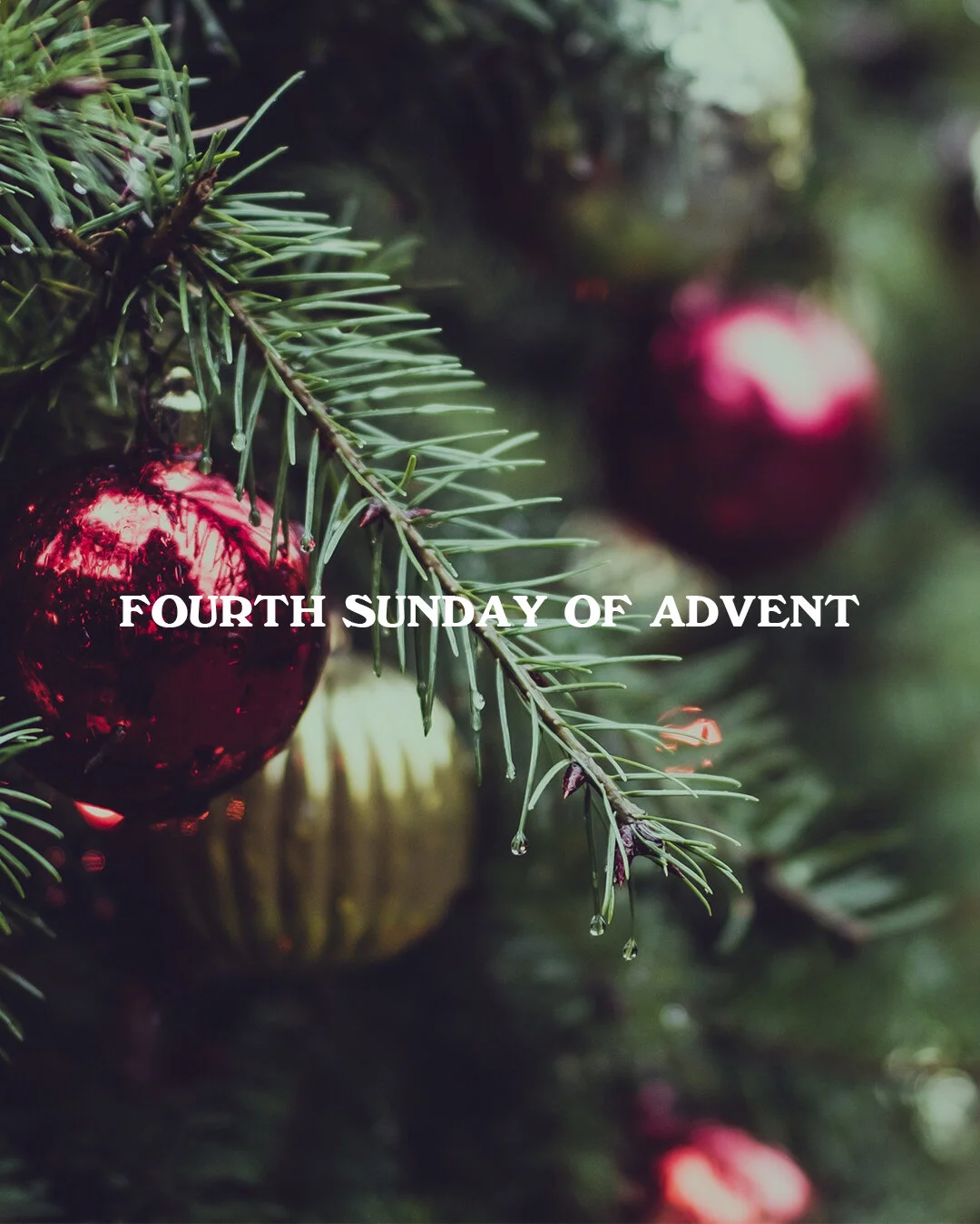 4th Sunday of Advent