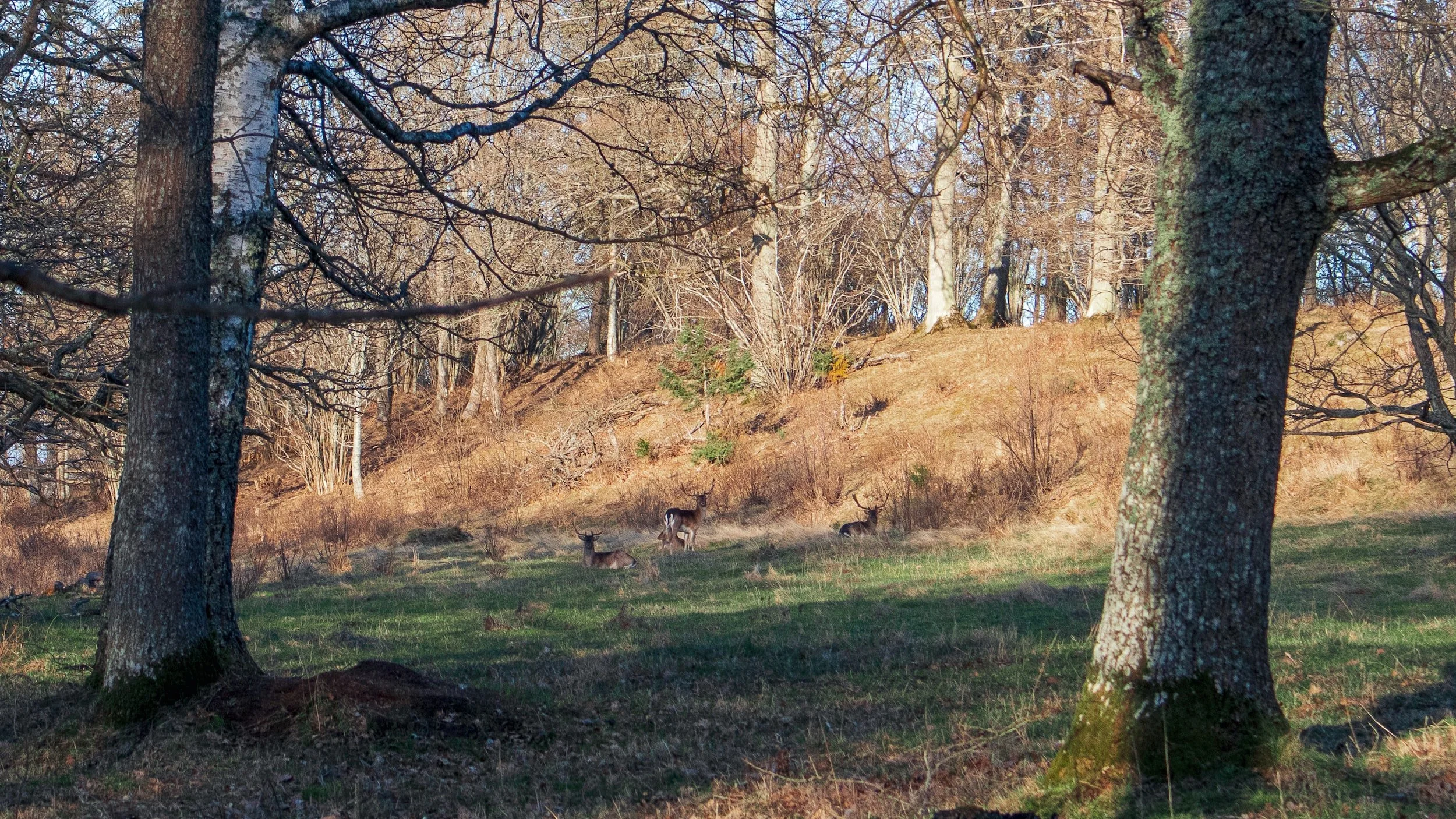 Senior's Trip to Lotherton Hall