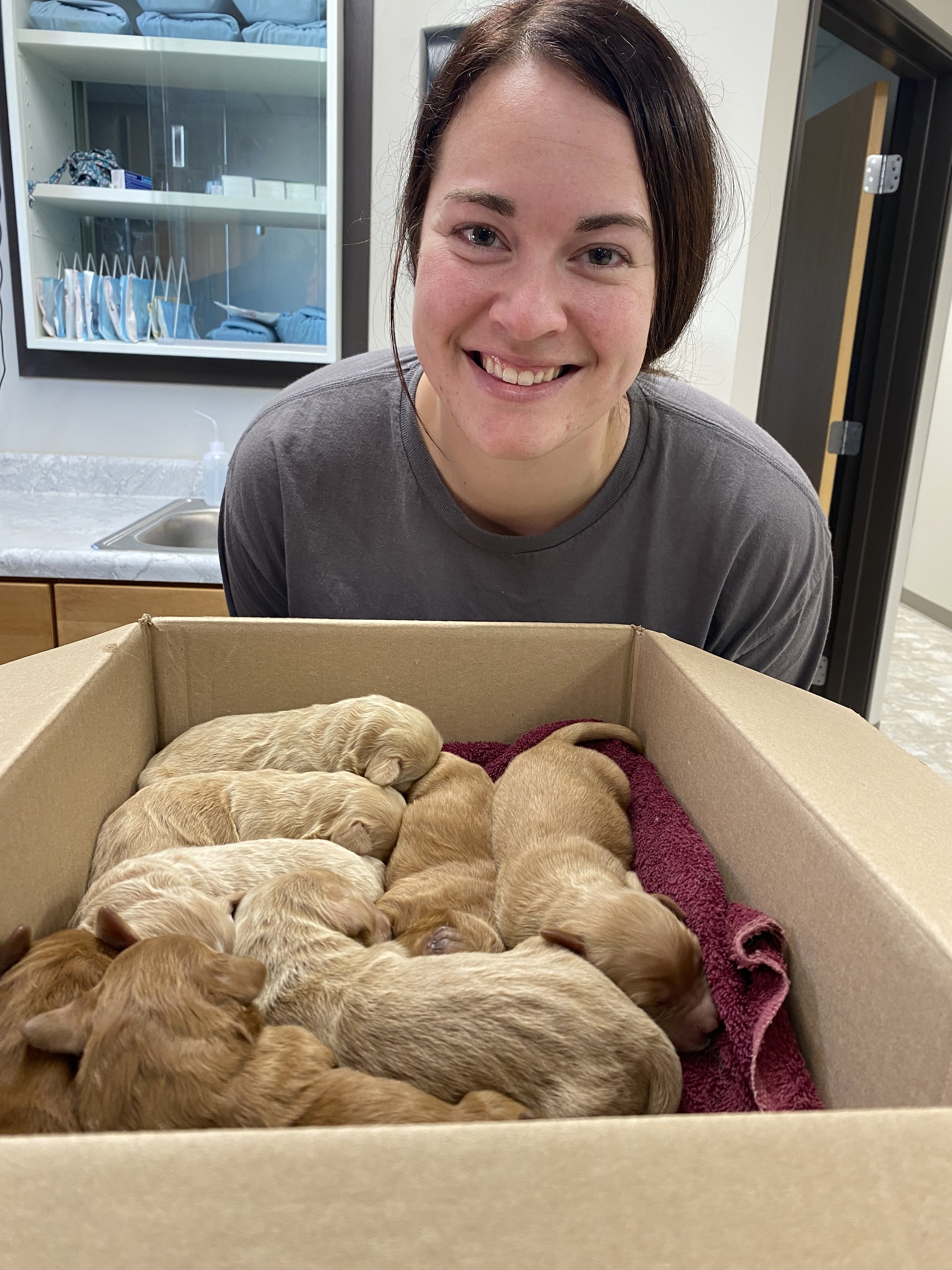 Malorie with Libby's Puppies.jpg