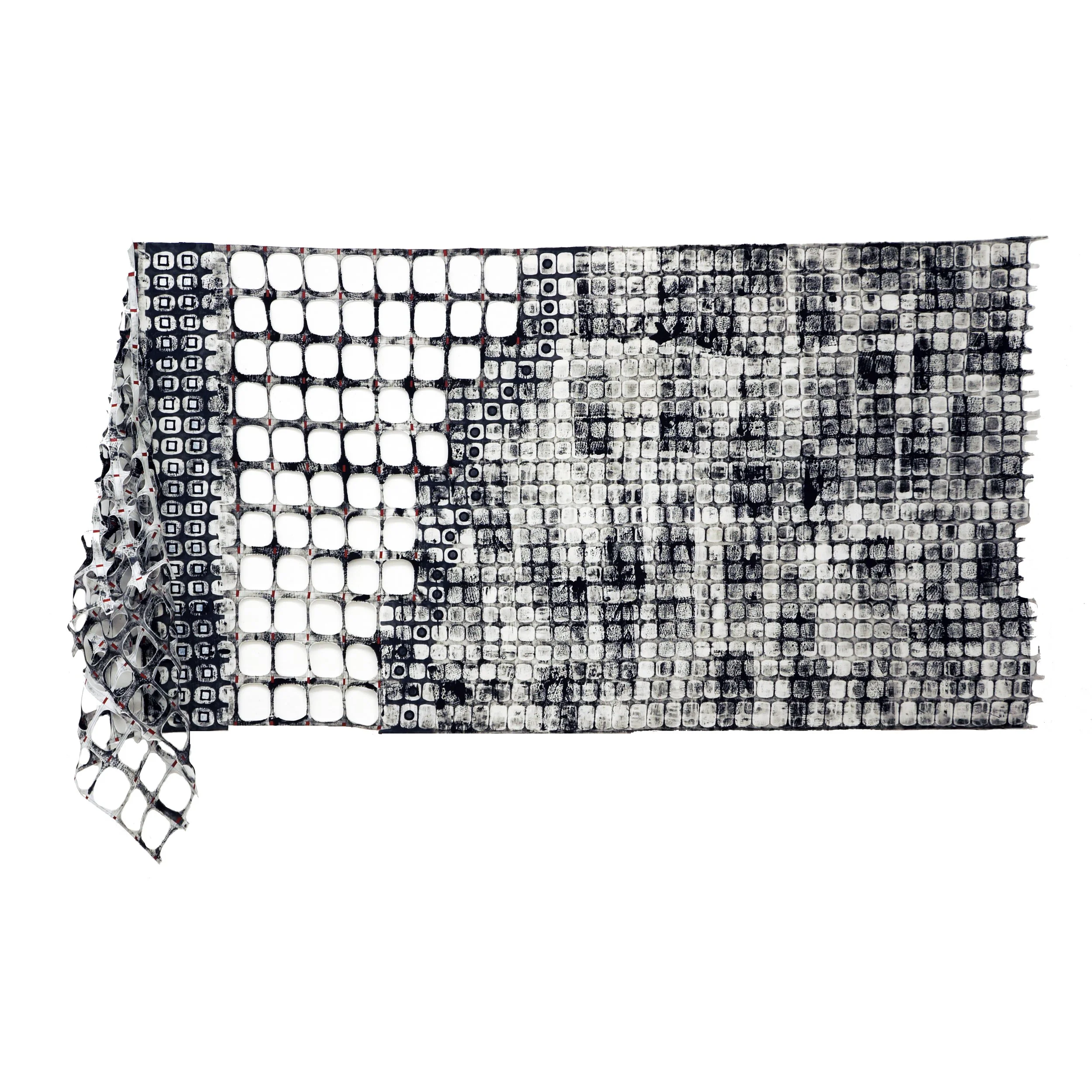 The Fence as Lace #14