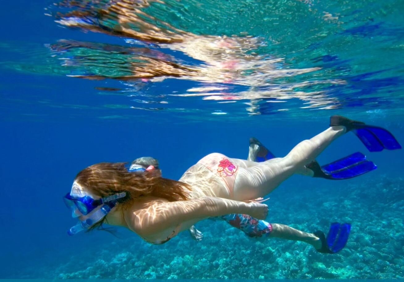 Fall in Love with Maui's Underwater Beauty 🐠🌴 October tours are filling up fast. Secure your spot for a Molokini and Turtle Arches adventure aboard @pacificwhalefoundation. 

Snorkel Molokini link in our bio. 

#MauiSnorkeling #MolokiniAdventure #O