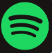 Spotify app icon
