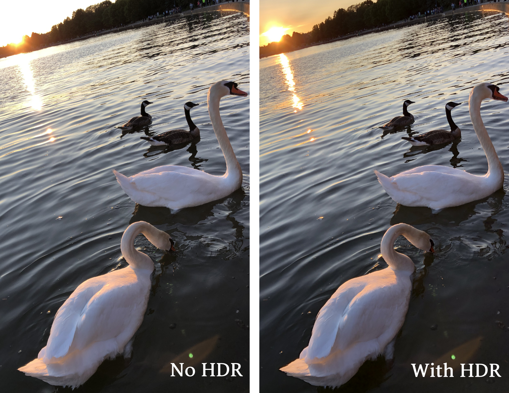 iPhone Photography Tips_HDR