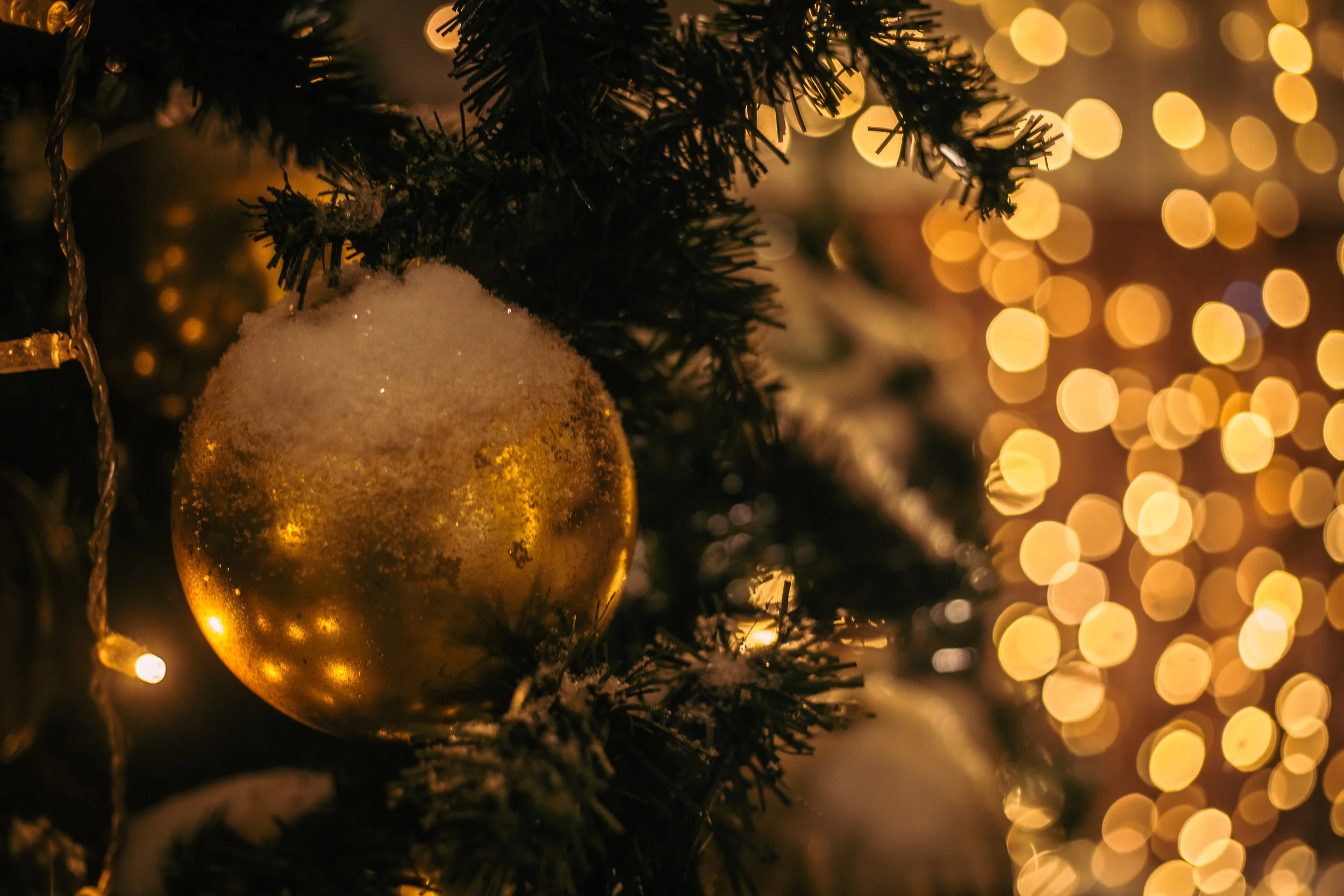 Best Christmas Holiday Photo Ideas