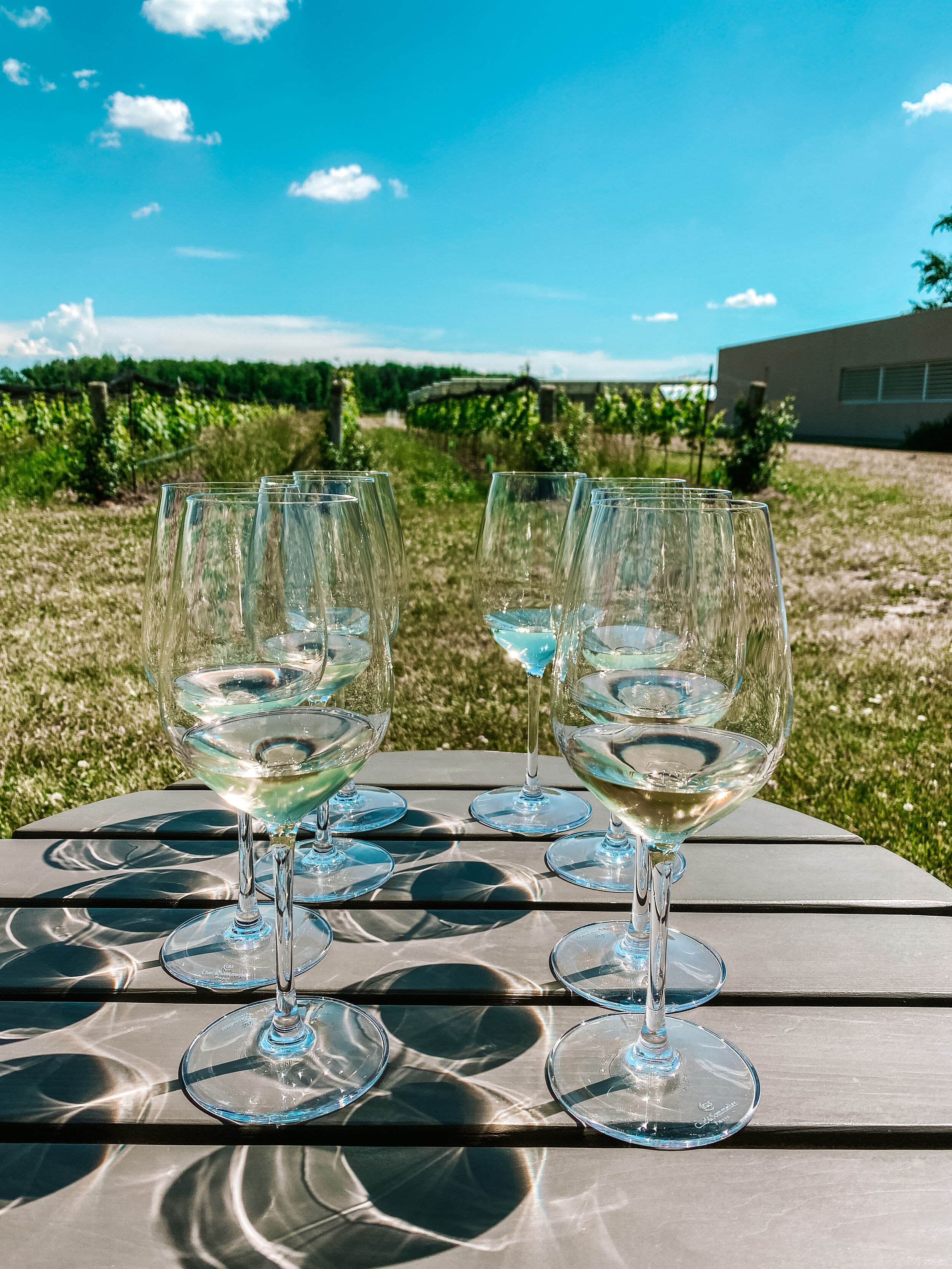 Best Non-Traditional Wineries in Niagara-On-The-Lake