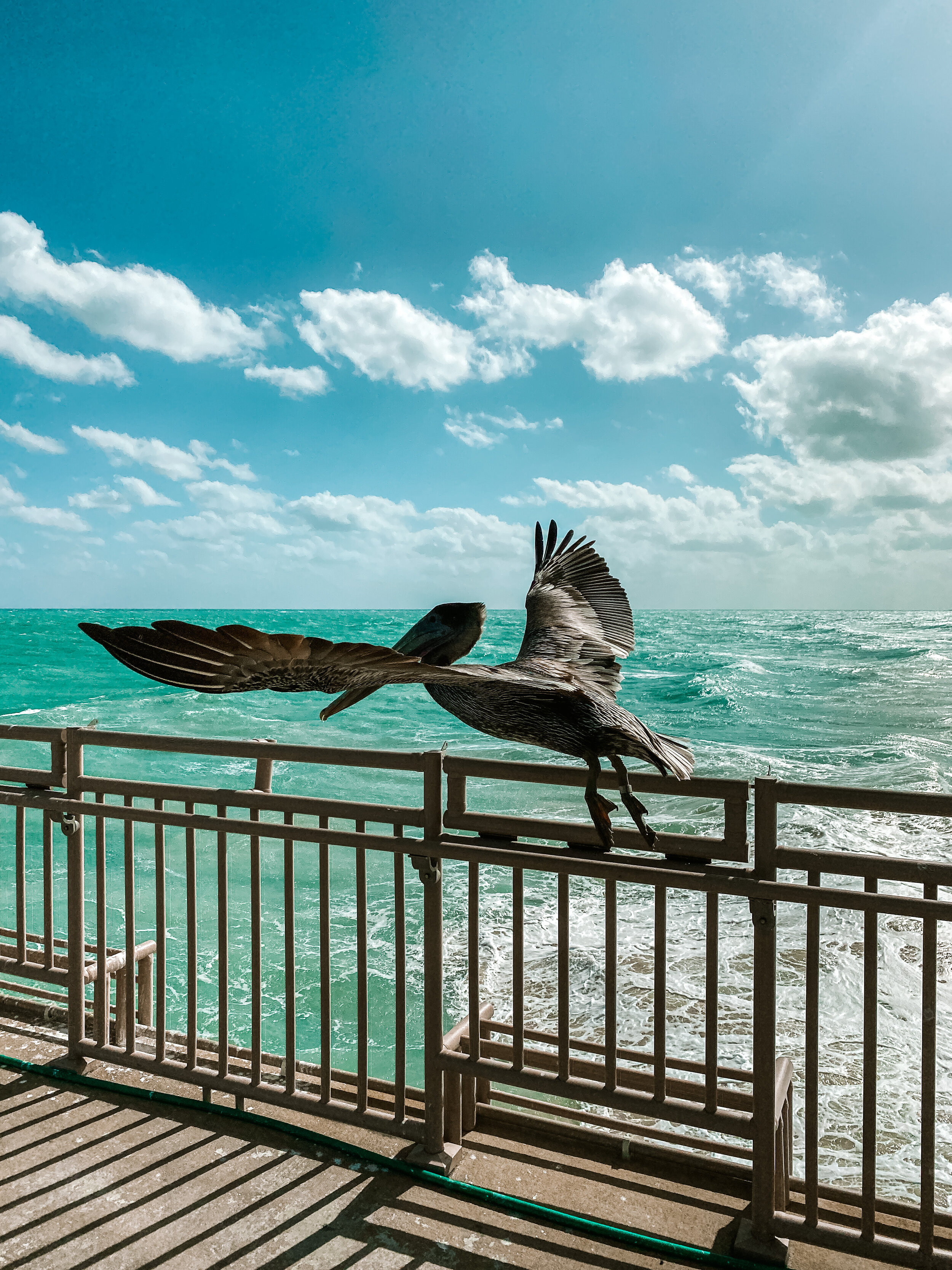 Miami South Beach Travel Guide