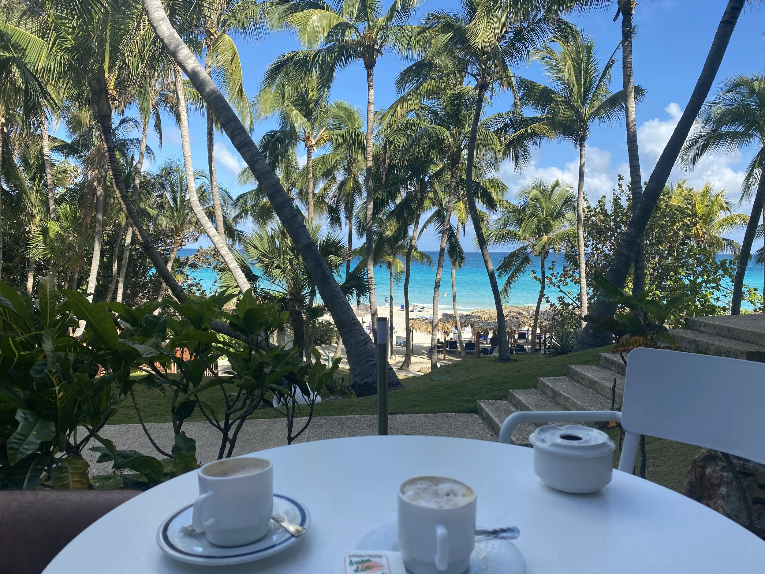 A table with two coffees facing palm trees and a beach.