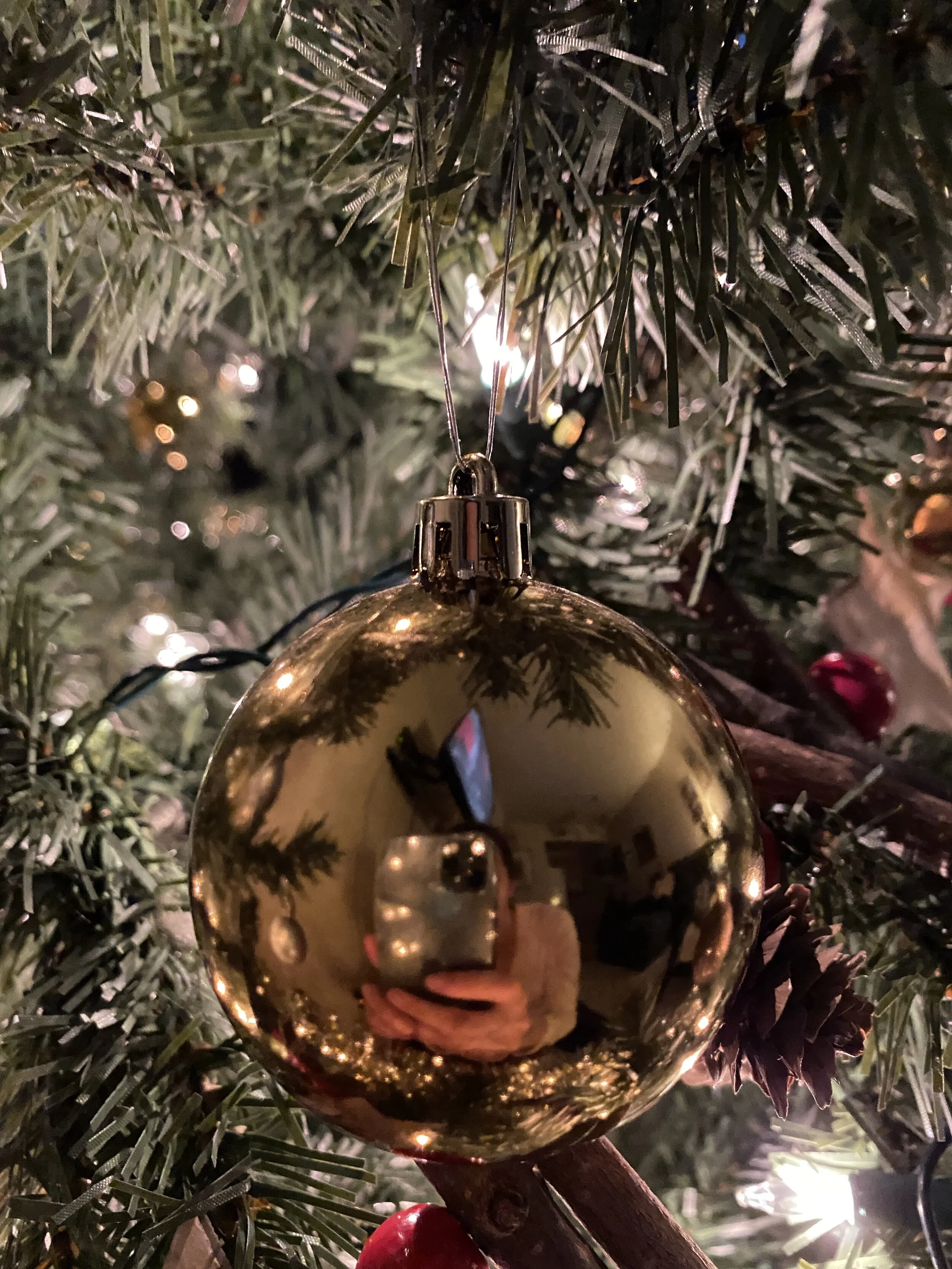 Asya Muzlera Macro Photography Portfolio.jpg