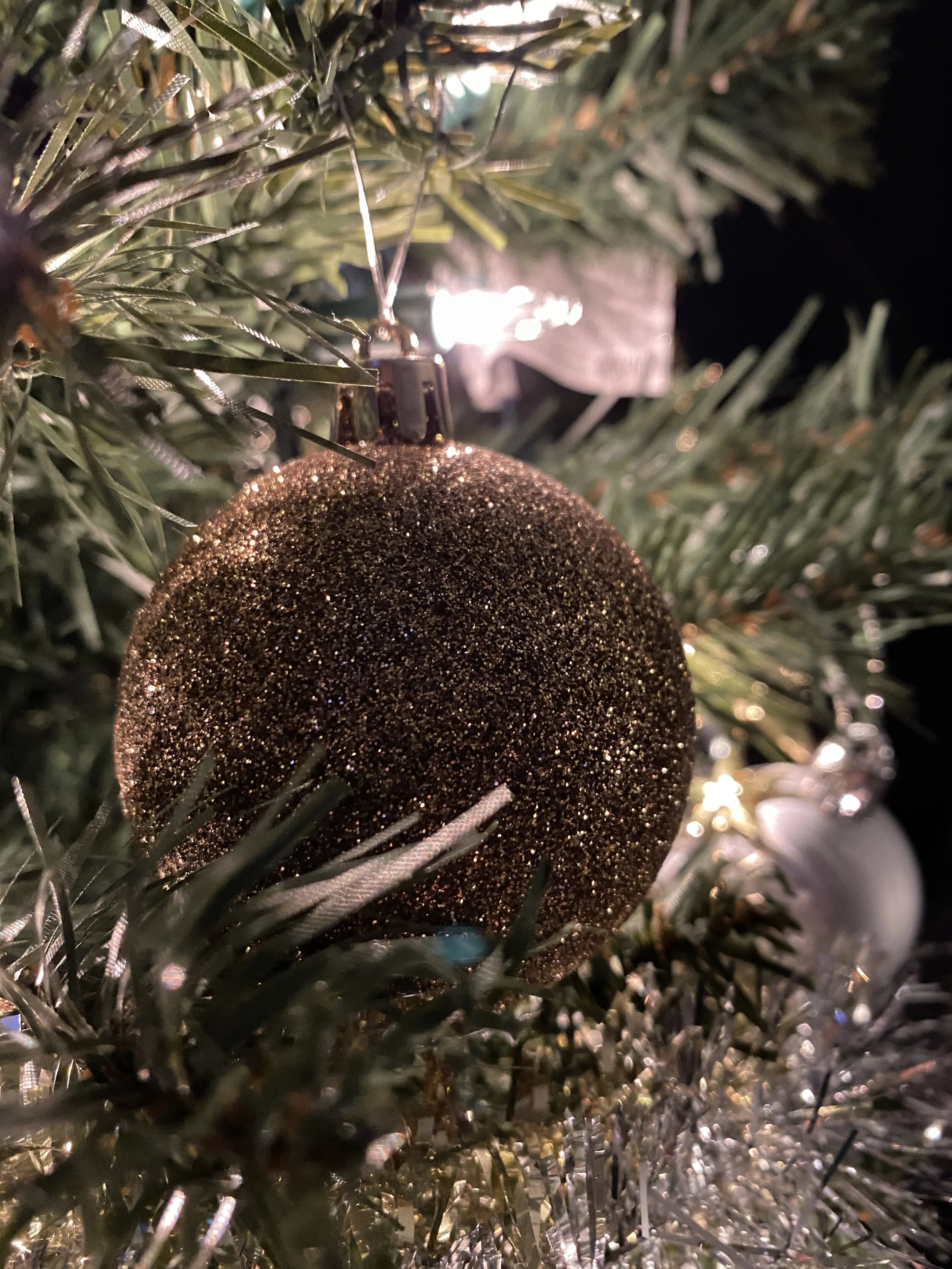 Asya Muzlera Macro Photography Portfolio.jpg