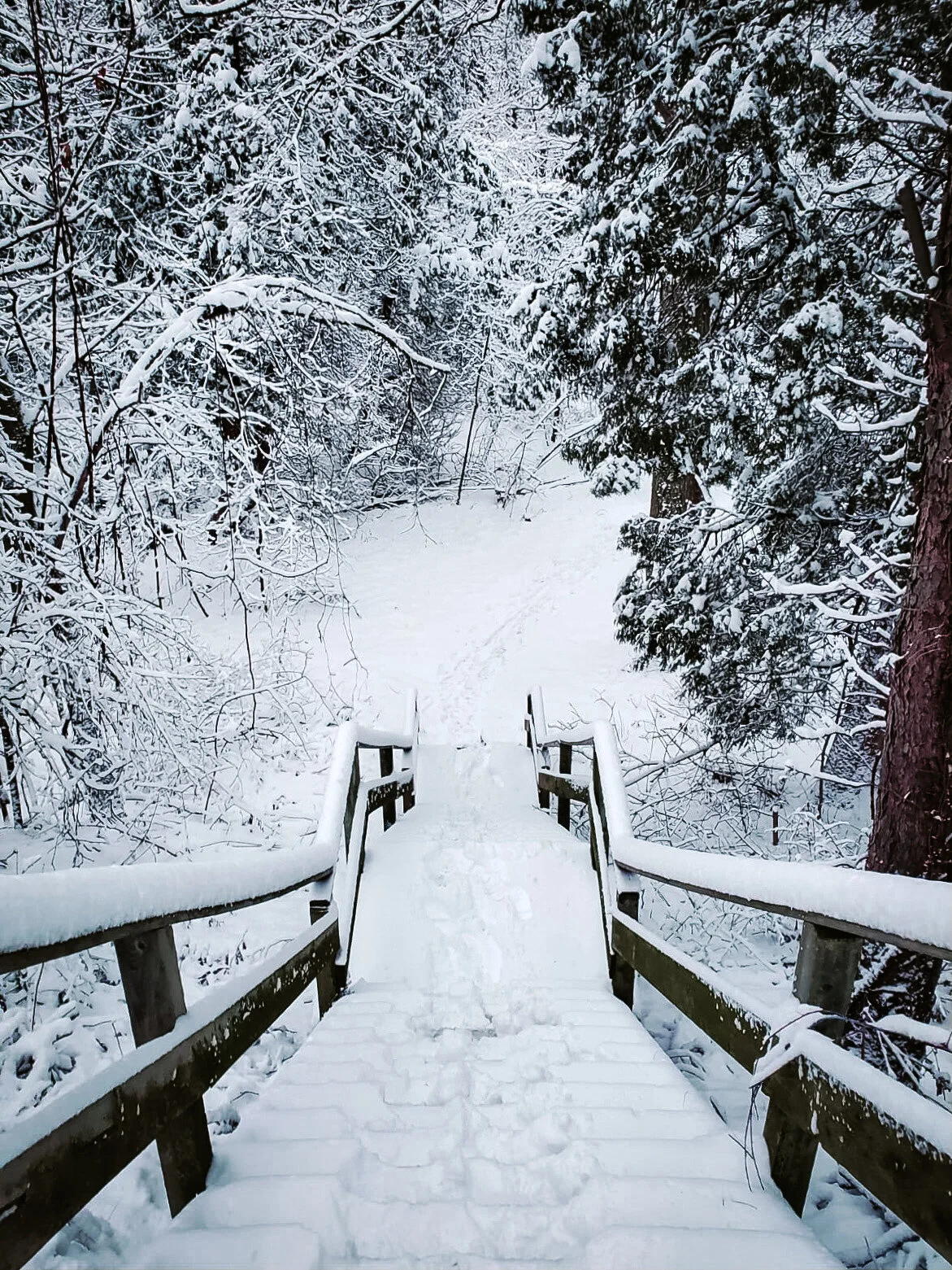 Asya Muzlera Landscape Photography Portfolio.jpg