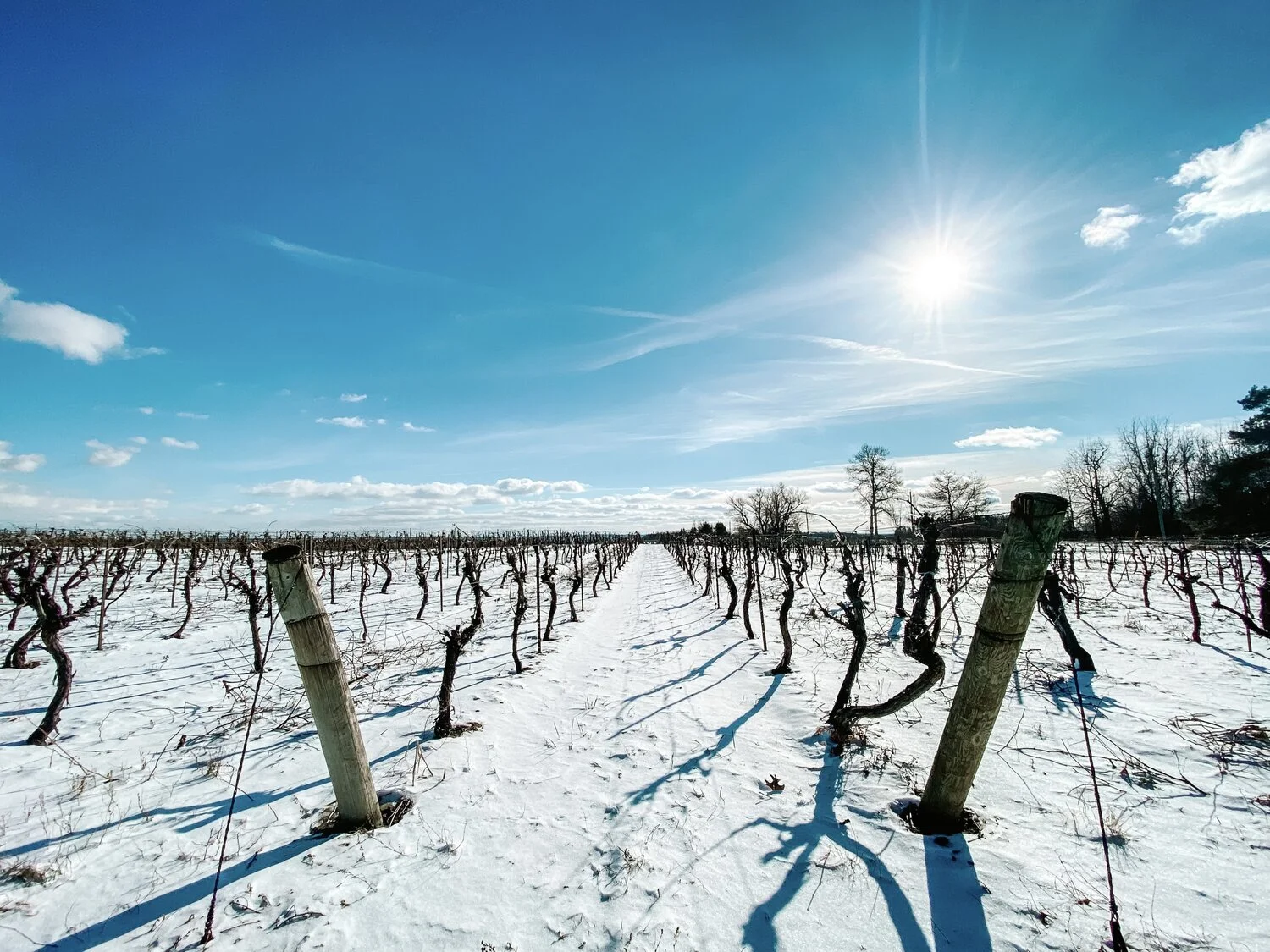 Asya Muzlera Landscape Photography Portfolio.jpg