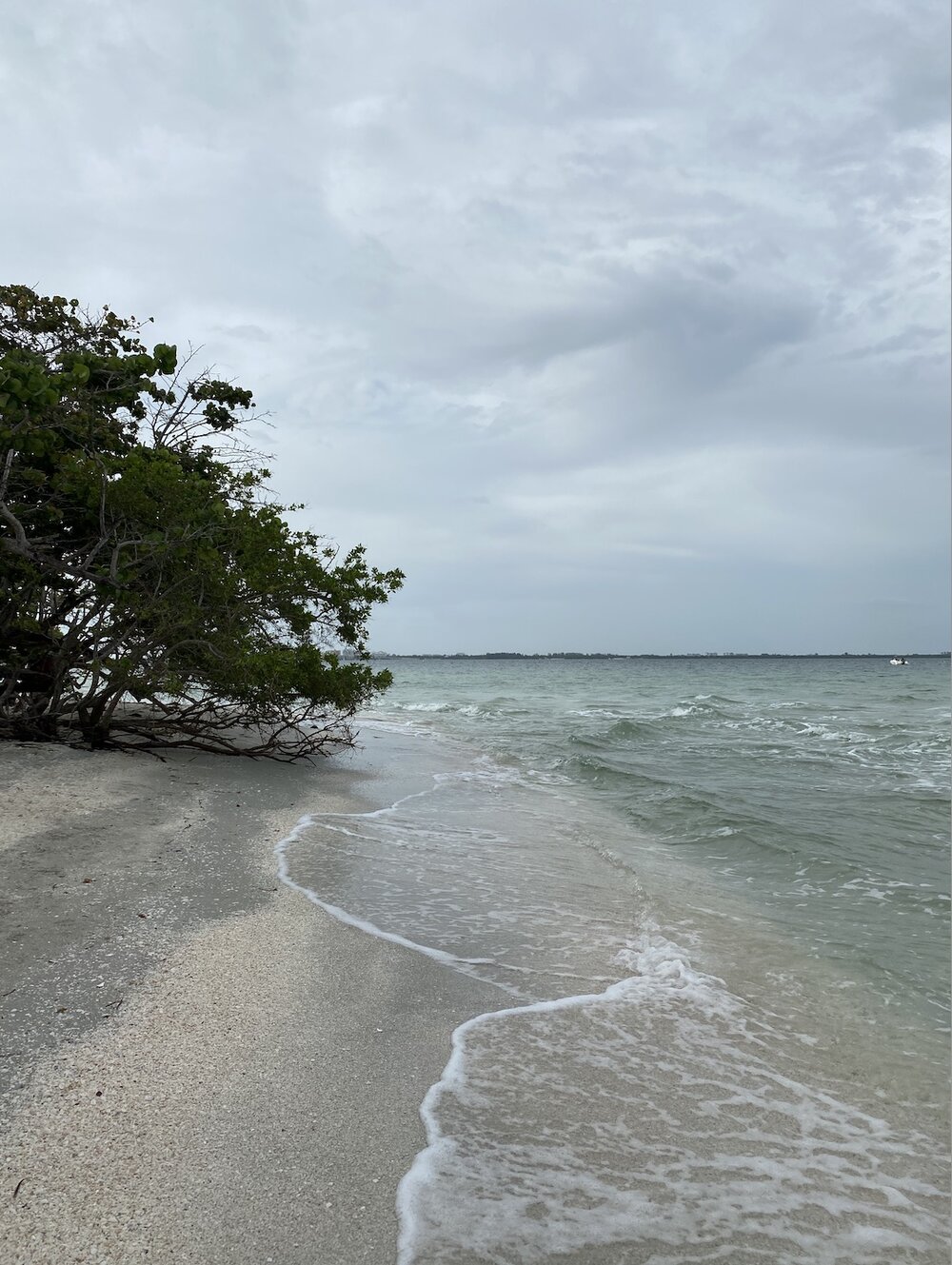 The Best Beaches in South Florida.jpg