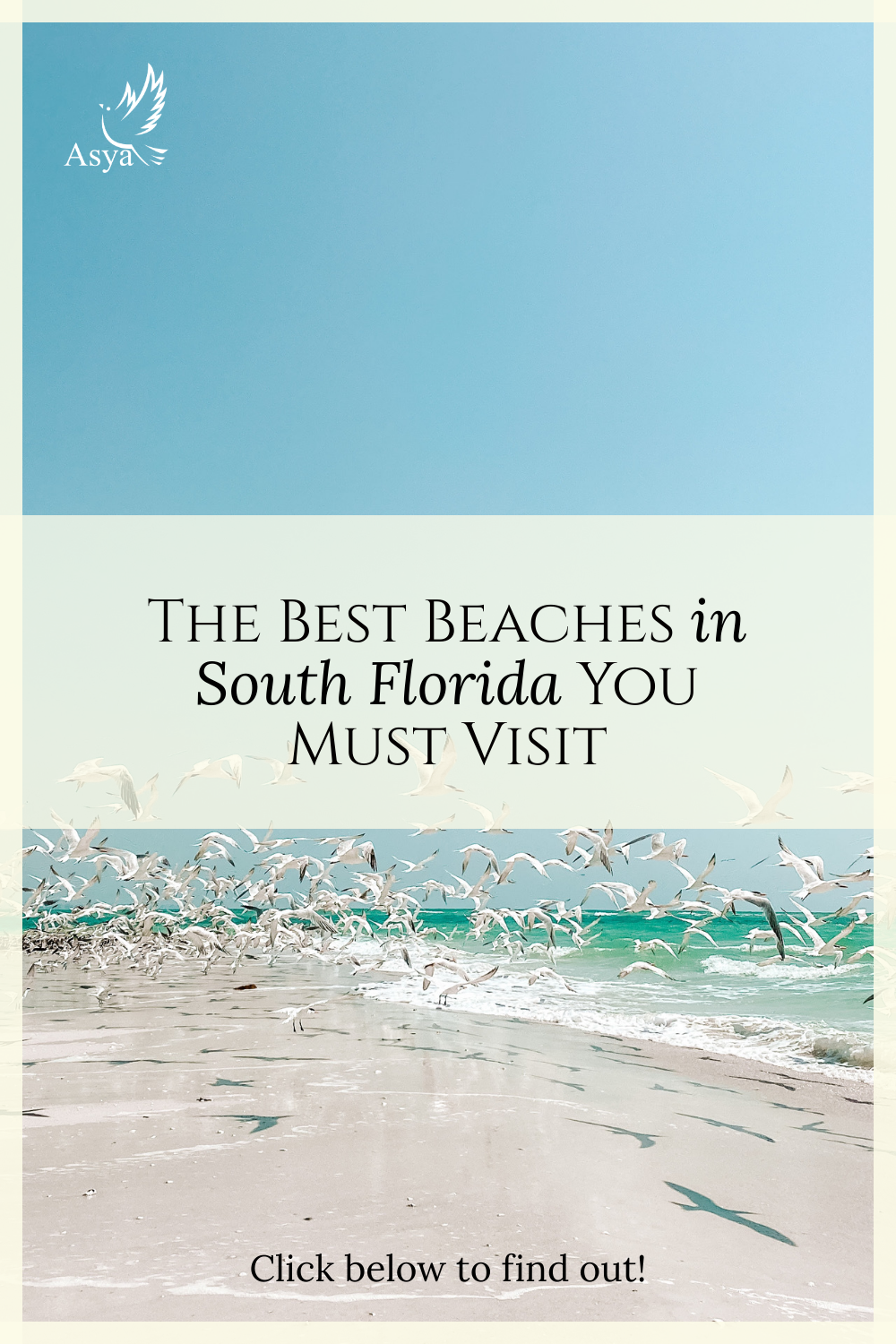 The Best Beaches in South Florida You Must Visit.jpg