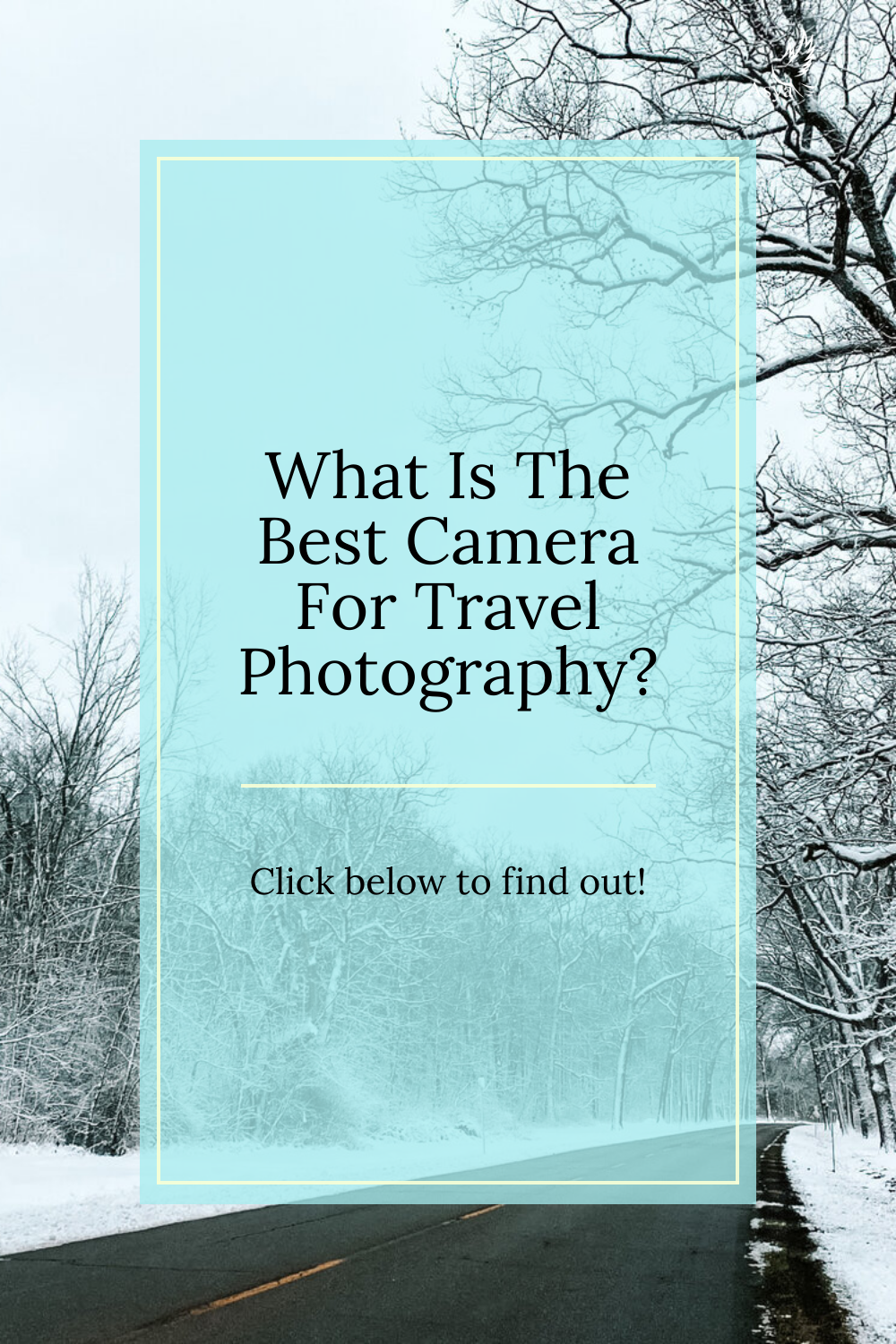What Is The Best Camera For Travel Photography.jpg
