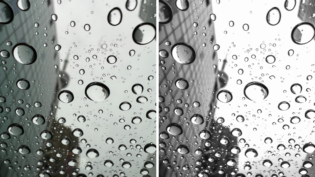 Asyas Lightroom Mobile Preset_B&W 2_Before and After.png