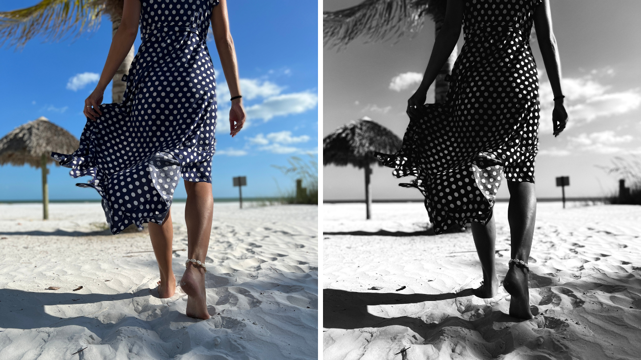 Asyas Lightroom Mobile Preset_B&W 3_Before and After.png