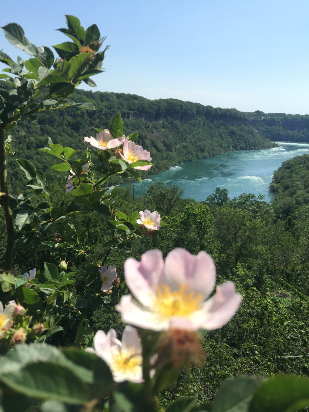 My Favourite Digital Nomad Destination – Niagara On The Lake, Canada.jpg