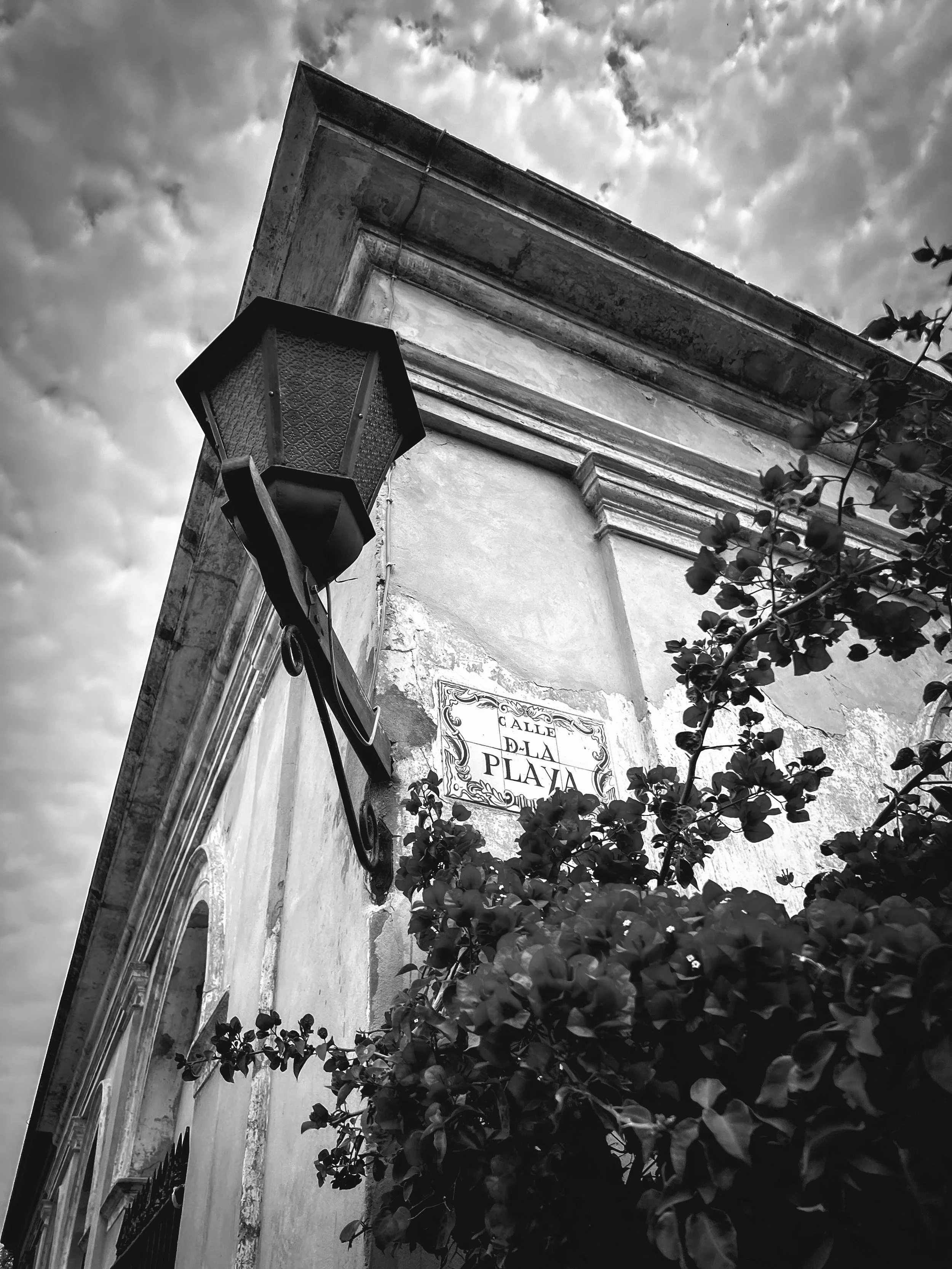 Asya Muzlera Black and White iPhone Photography Portfolio.jpg