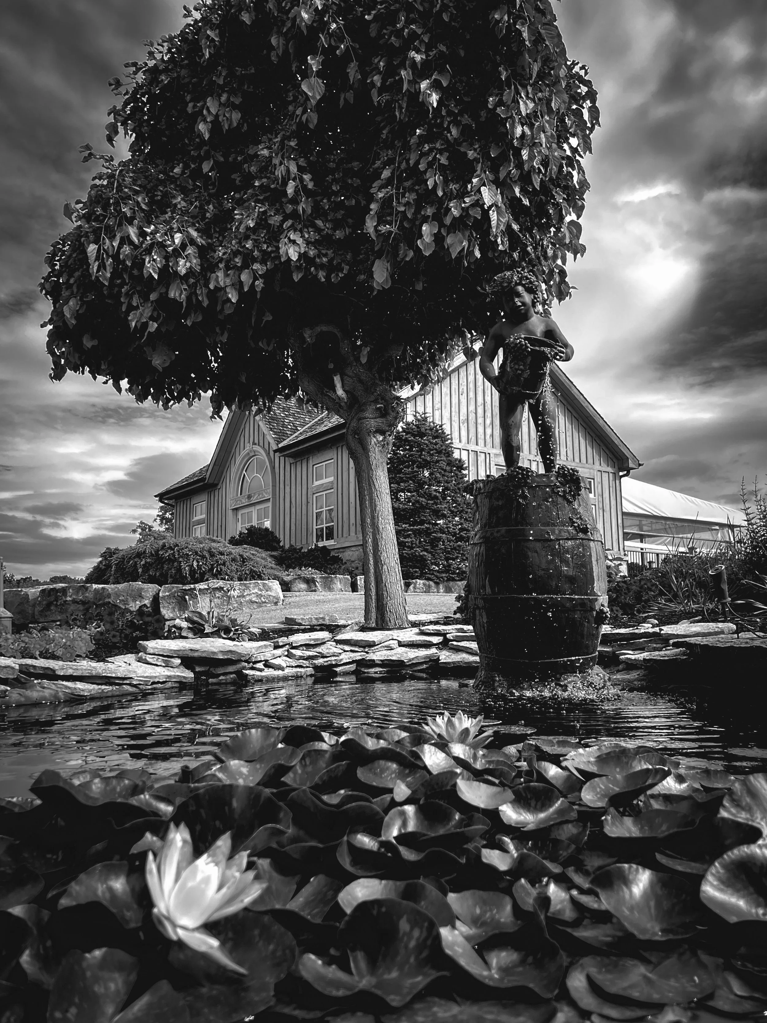 Asya Muzlera Black and White iPhone Photography Portfolio.jpg