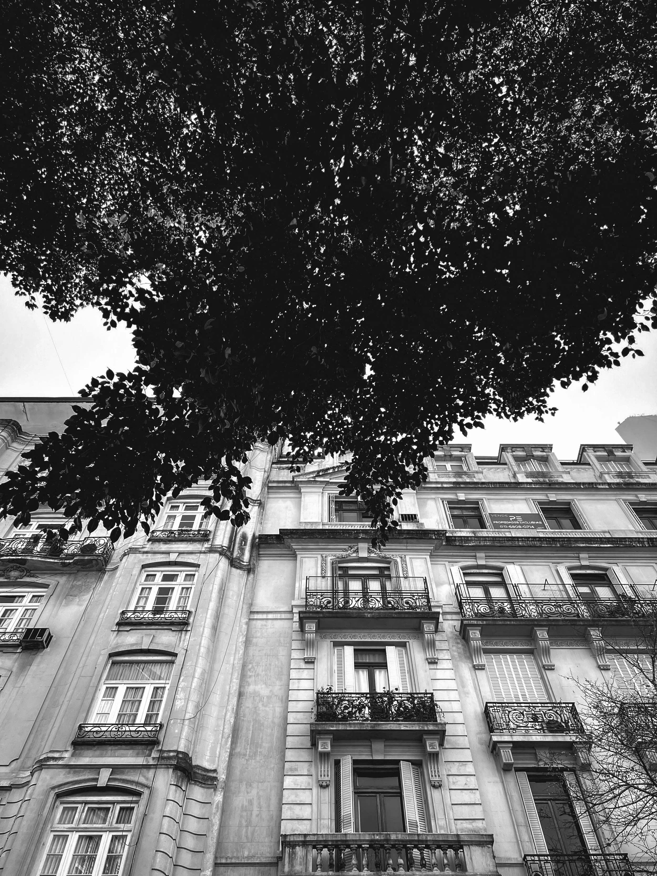 Asya Muzlera Black and White iPhone Photography Portfolio.jpg