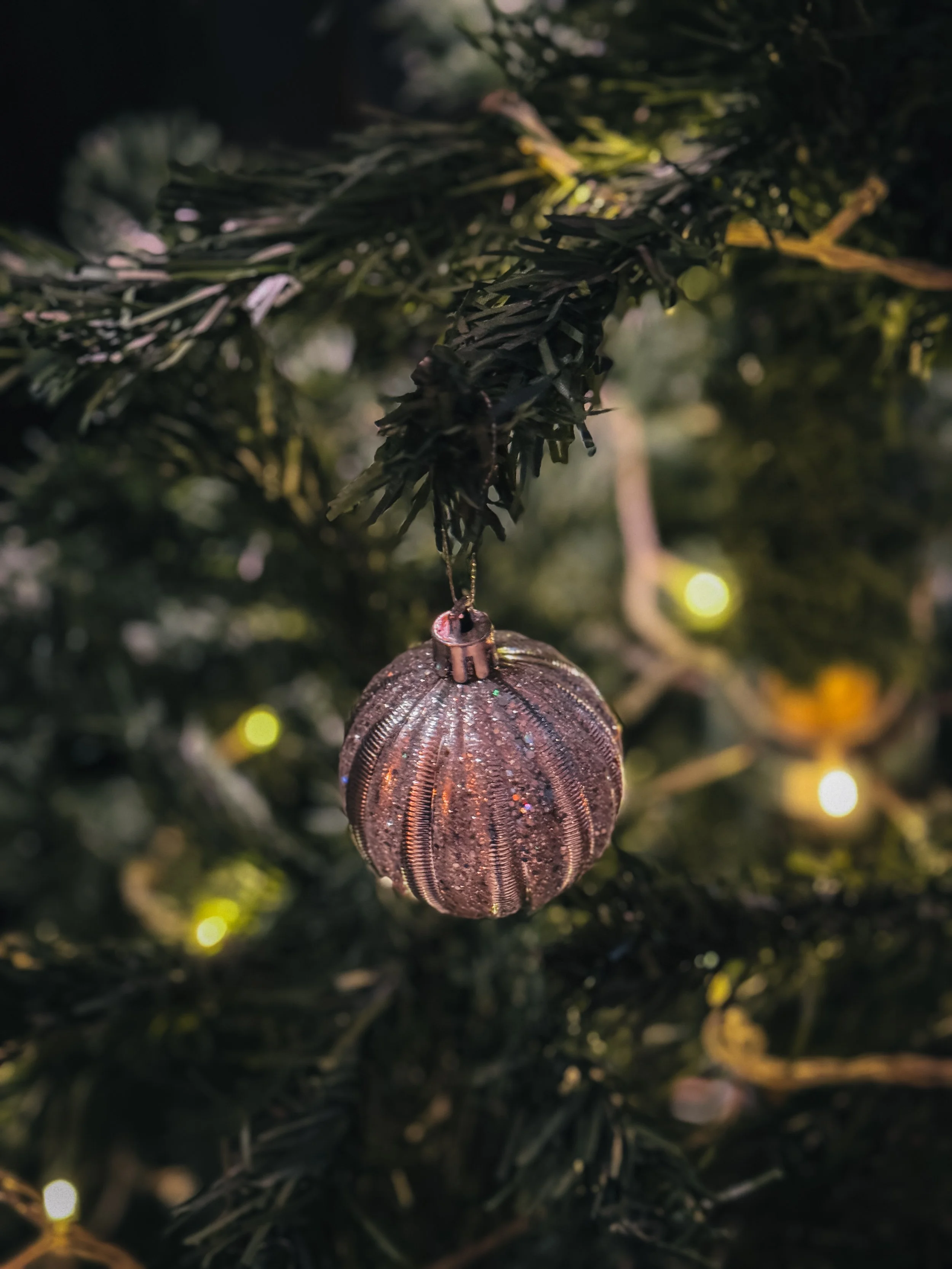 Asya Muzlera Winter and Christmas Photography Portfolio.jpg