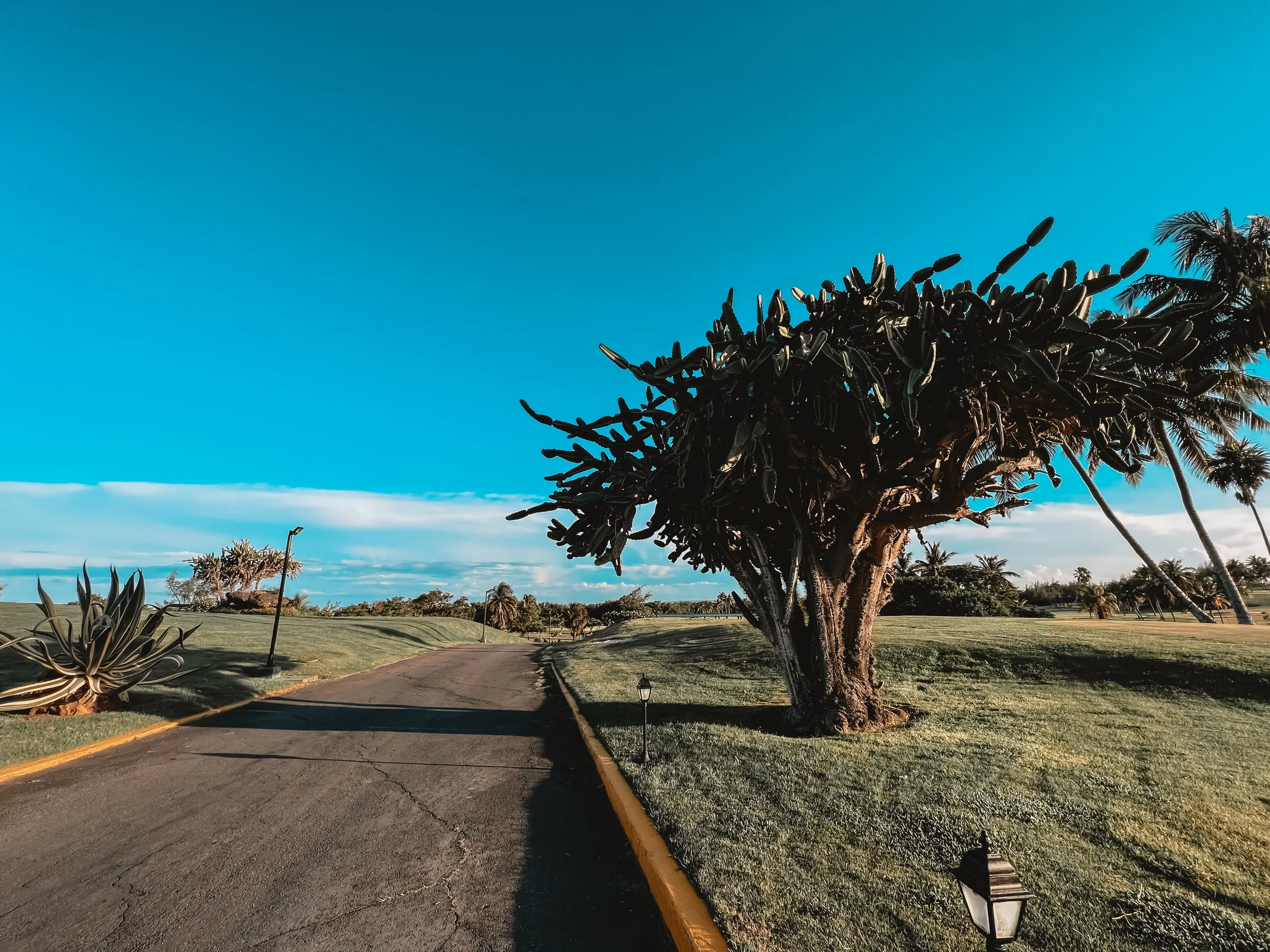 Asya Muzlera Landscape Photography Portfolio.jpg