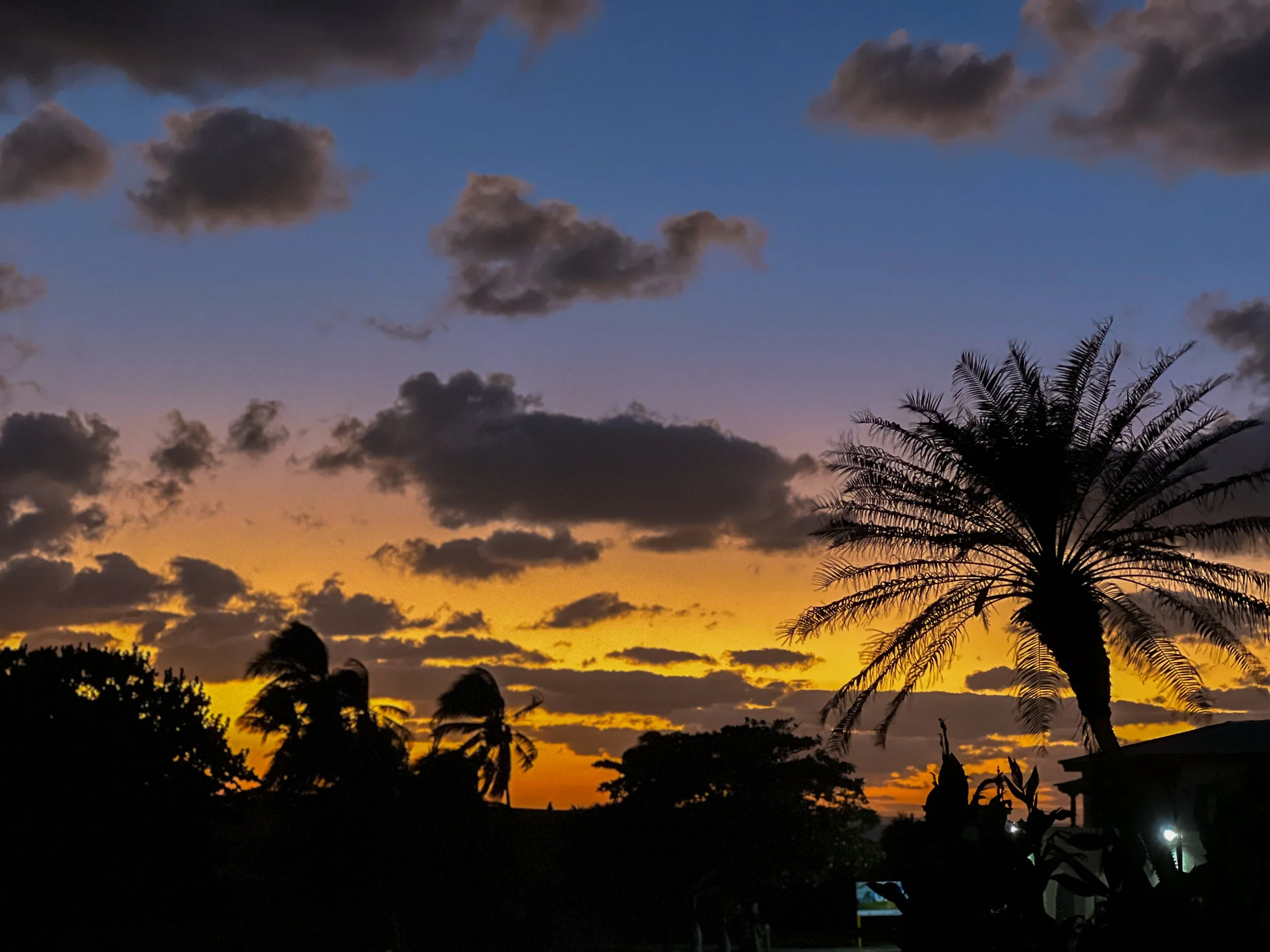 Asya Muzlera Night Photography Portfolio.jpg