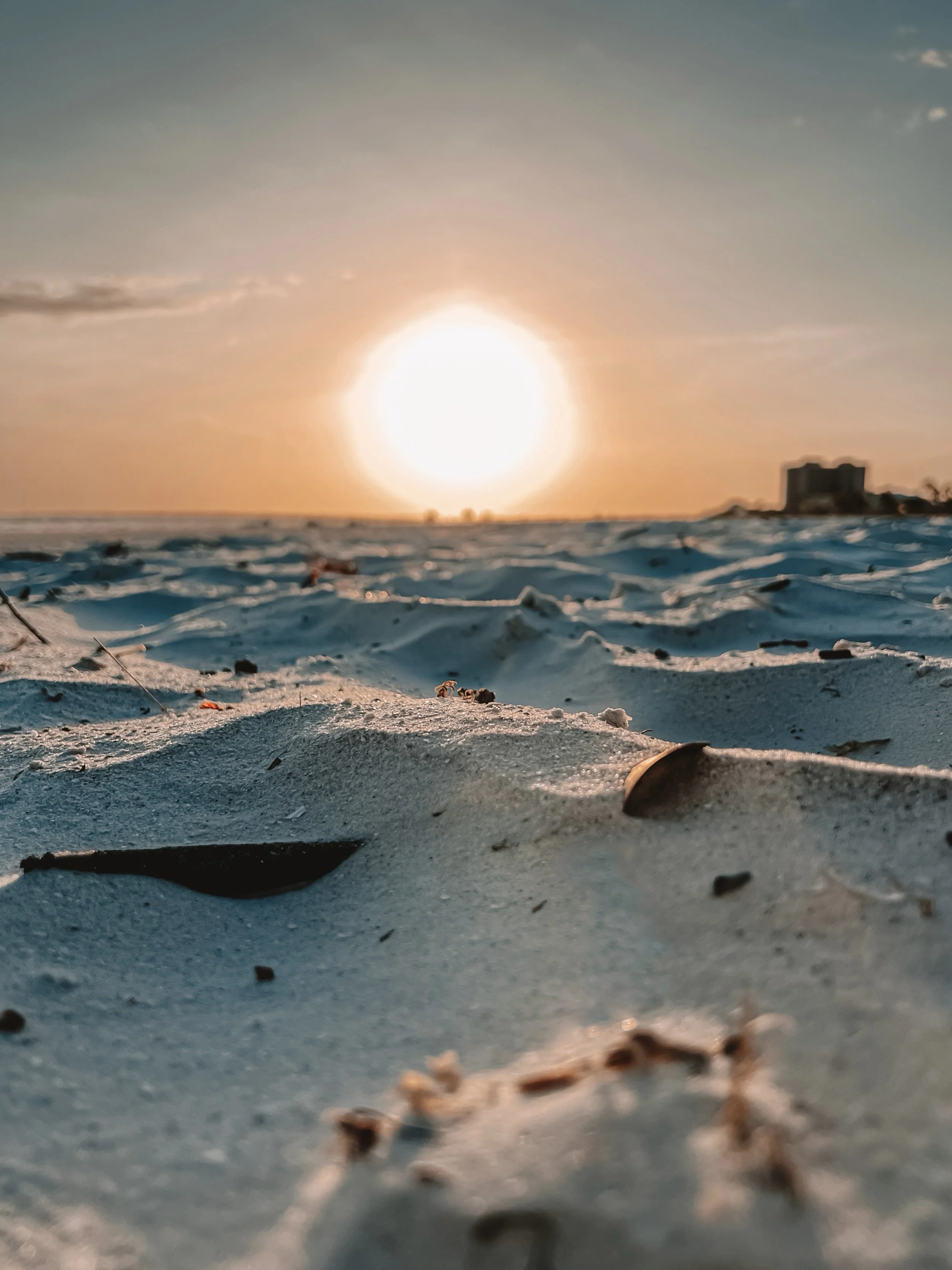 Asya Muzlera Macro Photography Portfolio.jpg