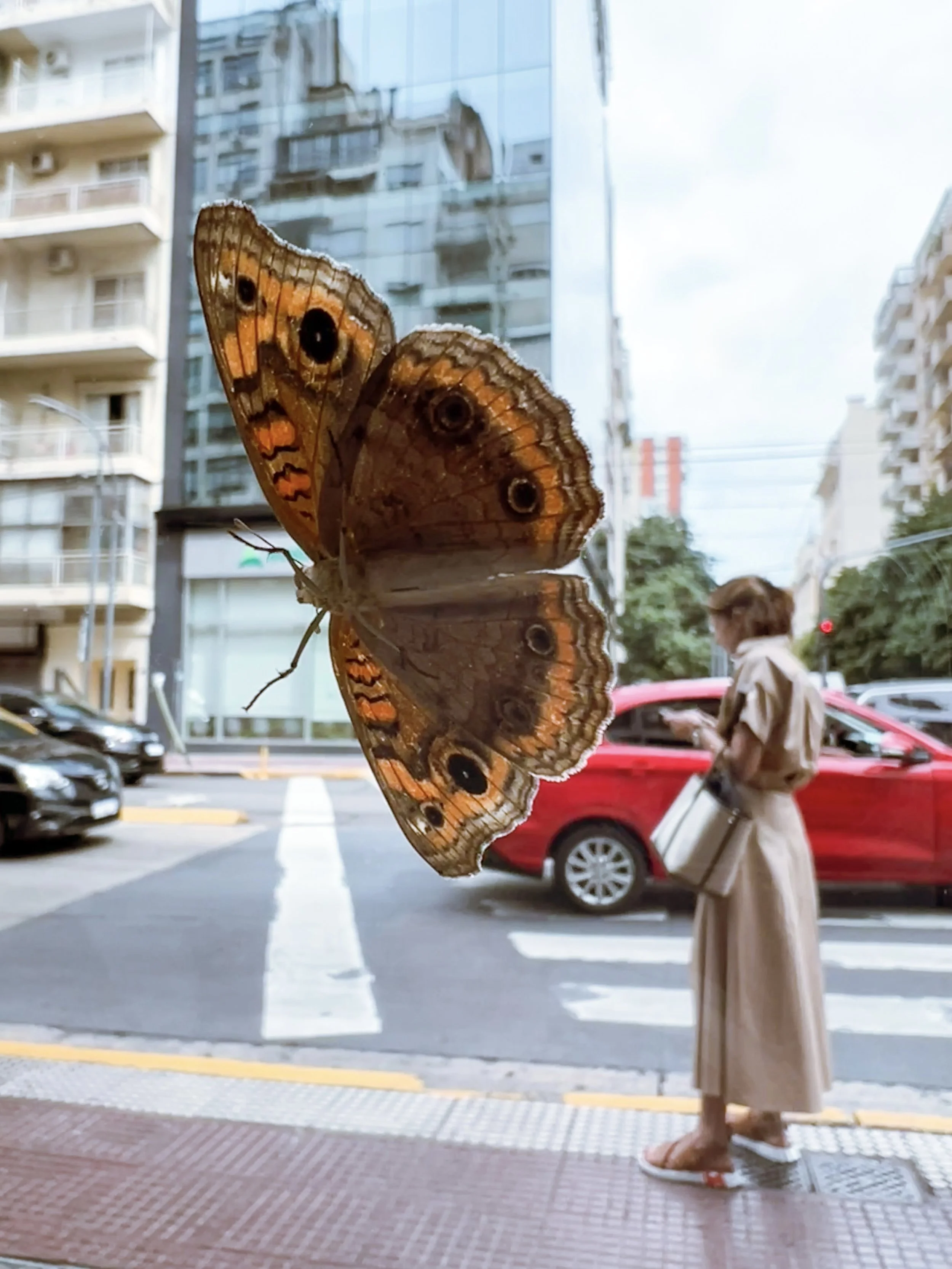 Asya Muzlera Macro Photography Portfolio.jpg