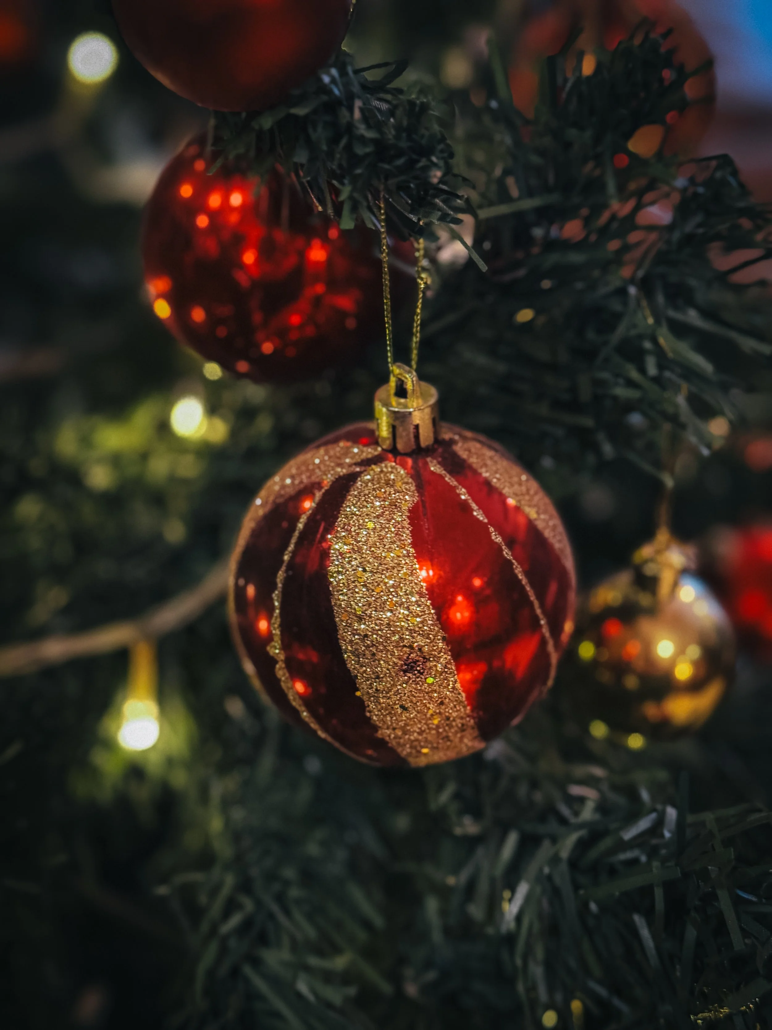 Asya Muzlera Macro Photography Portfolio.jpg