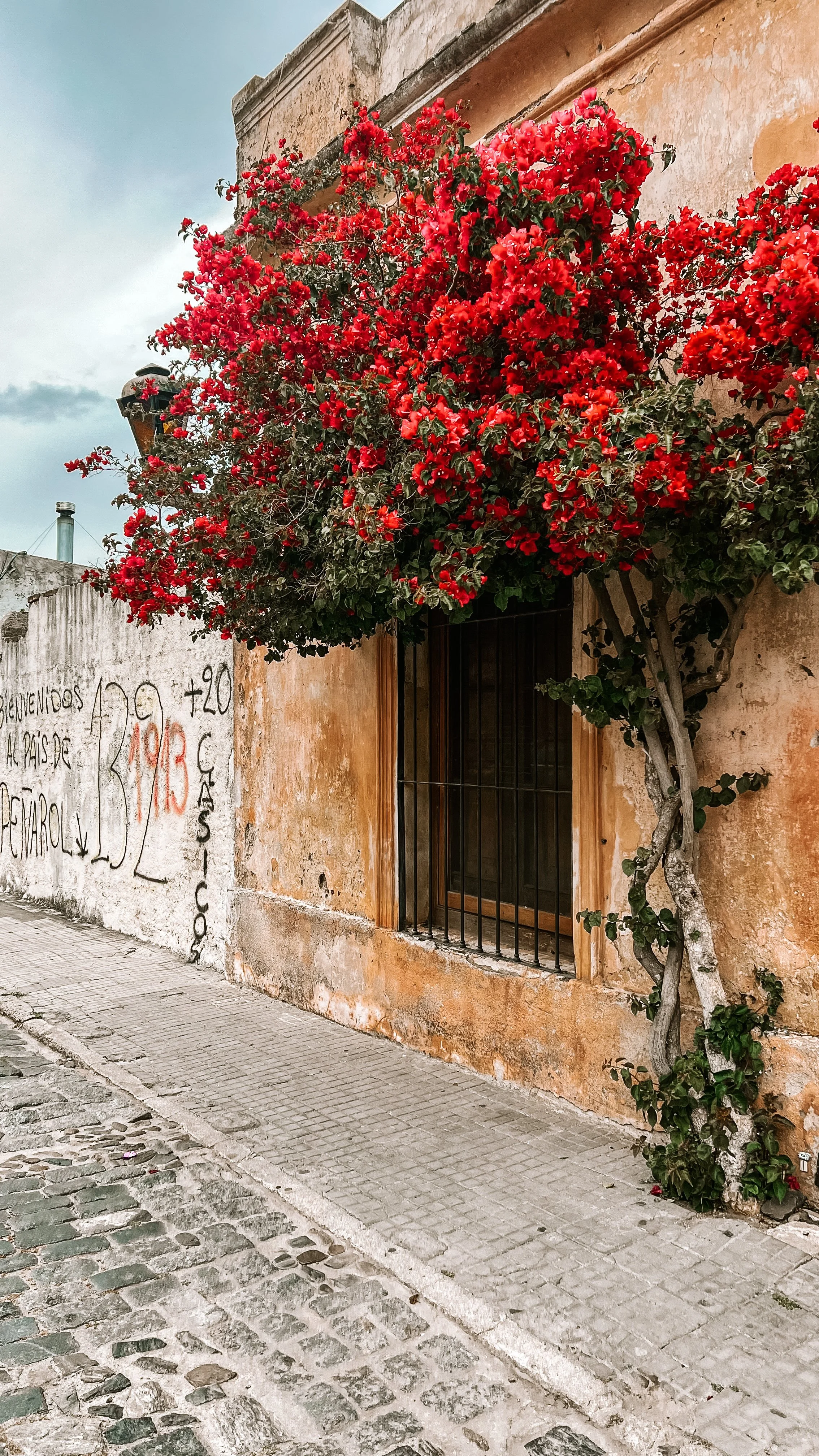 Asya Muzlera Travel Photography Portfolio.jpg