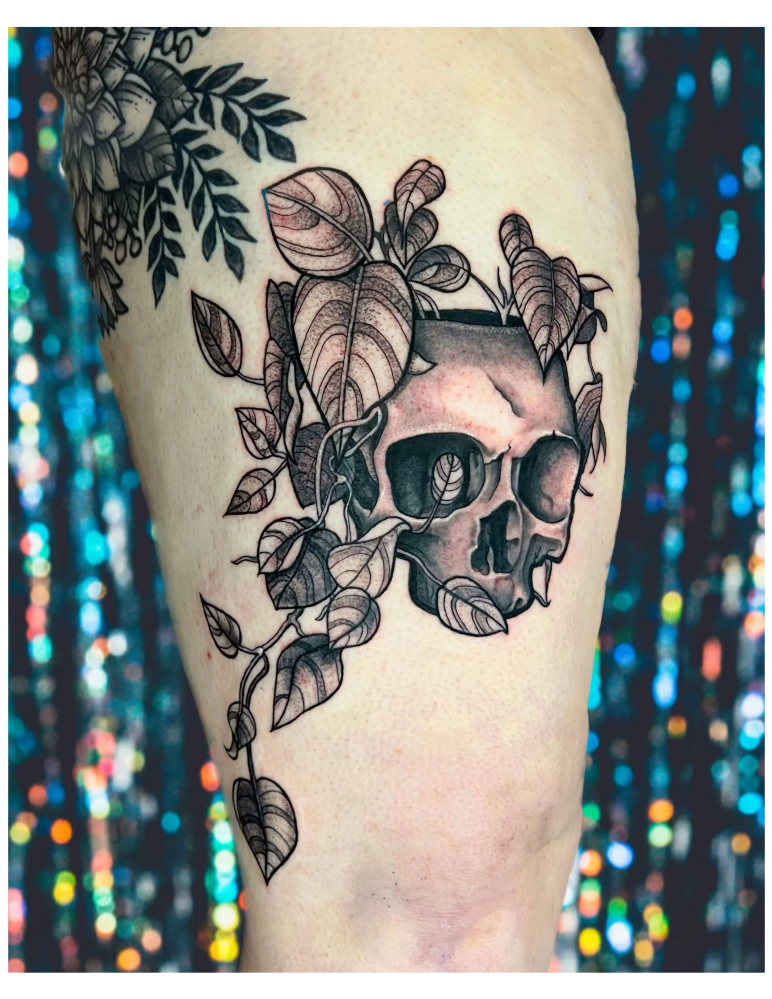 Untitled_Artwork 9.jpg