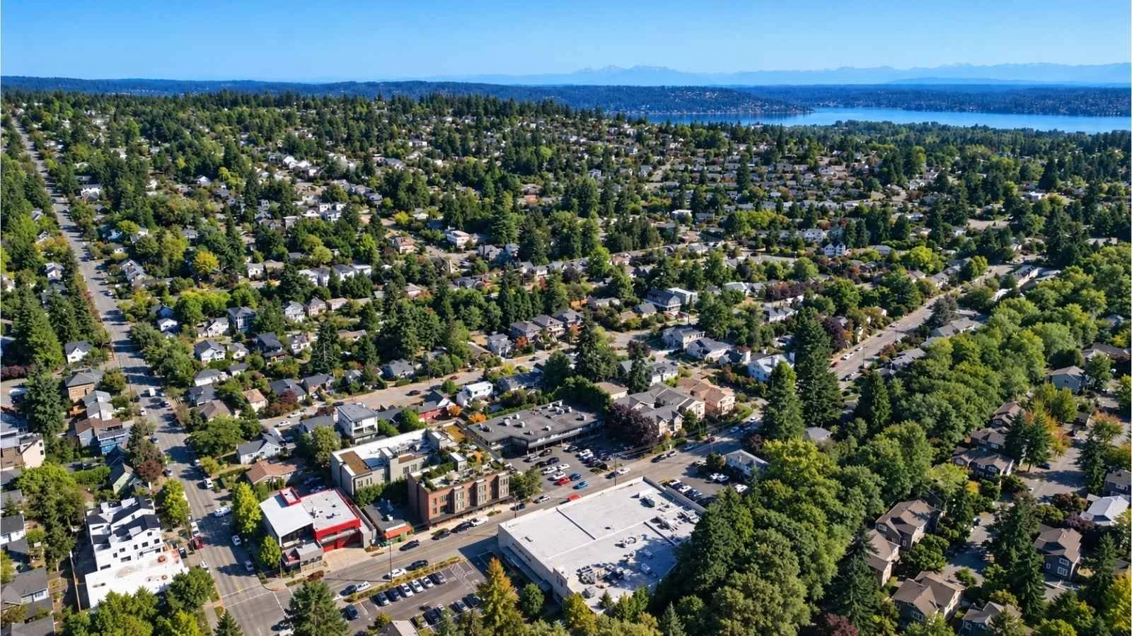 hawthorne-hills-seattle-aerial-real-estate-hero.jpg