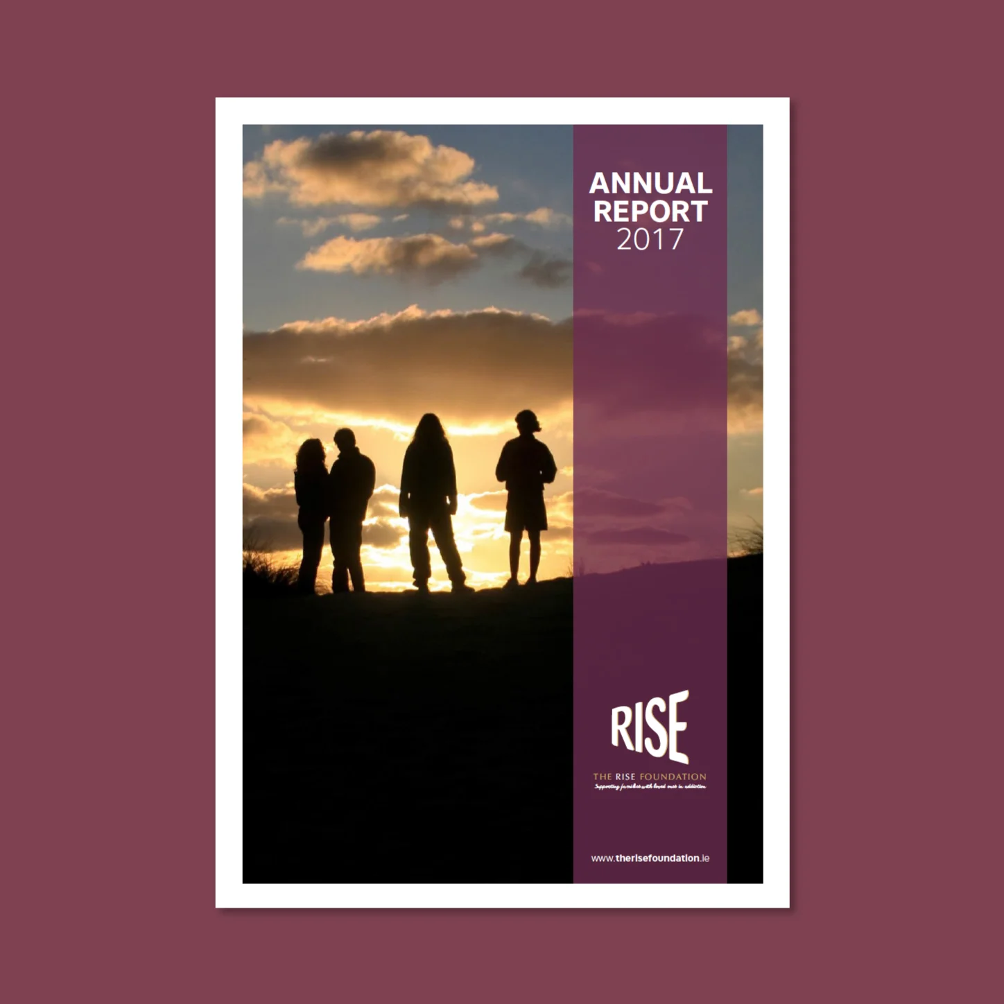 Rise Annual Report 2017