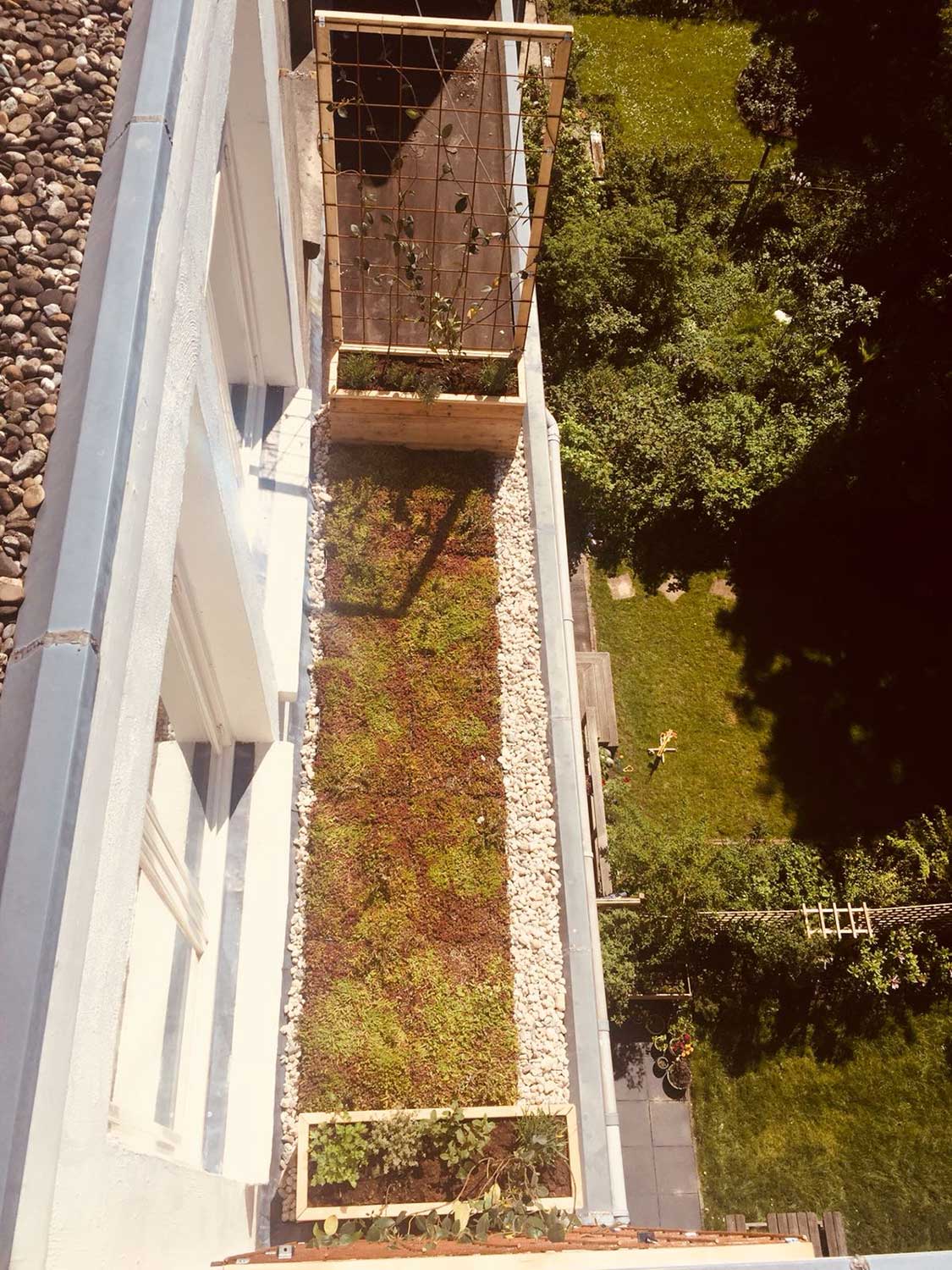 Groen op hoogte in Amsterdam