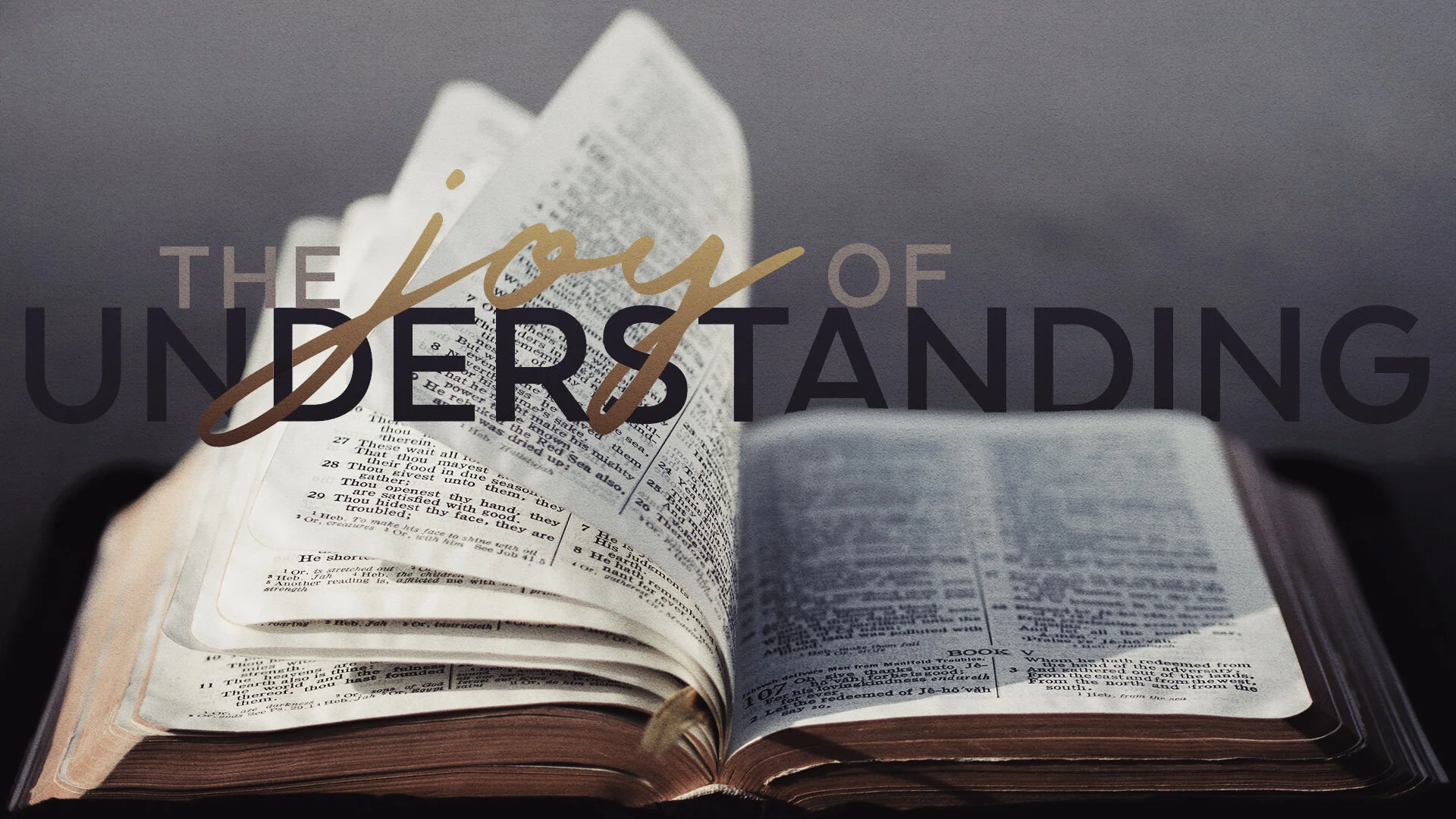The Joy Of Understanding - Pastor Nathan Holmes